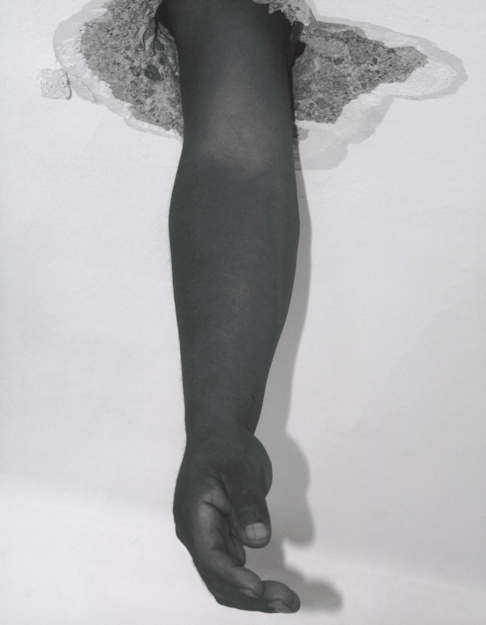 Ever Goya THE PRINT PORTFOLIO
