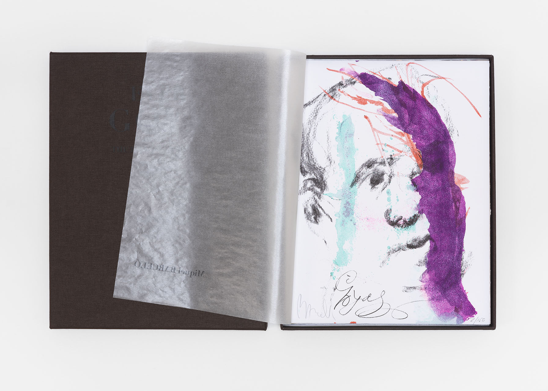 Ever Goya THE PRINT PORTFOLIO