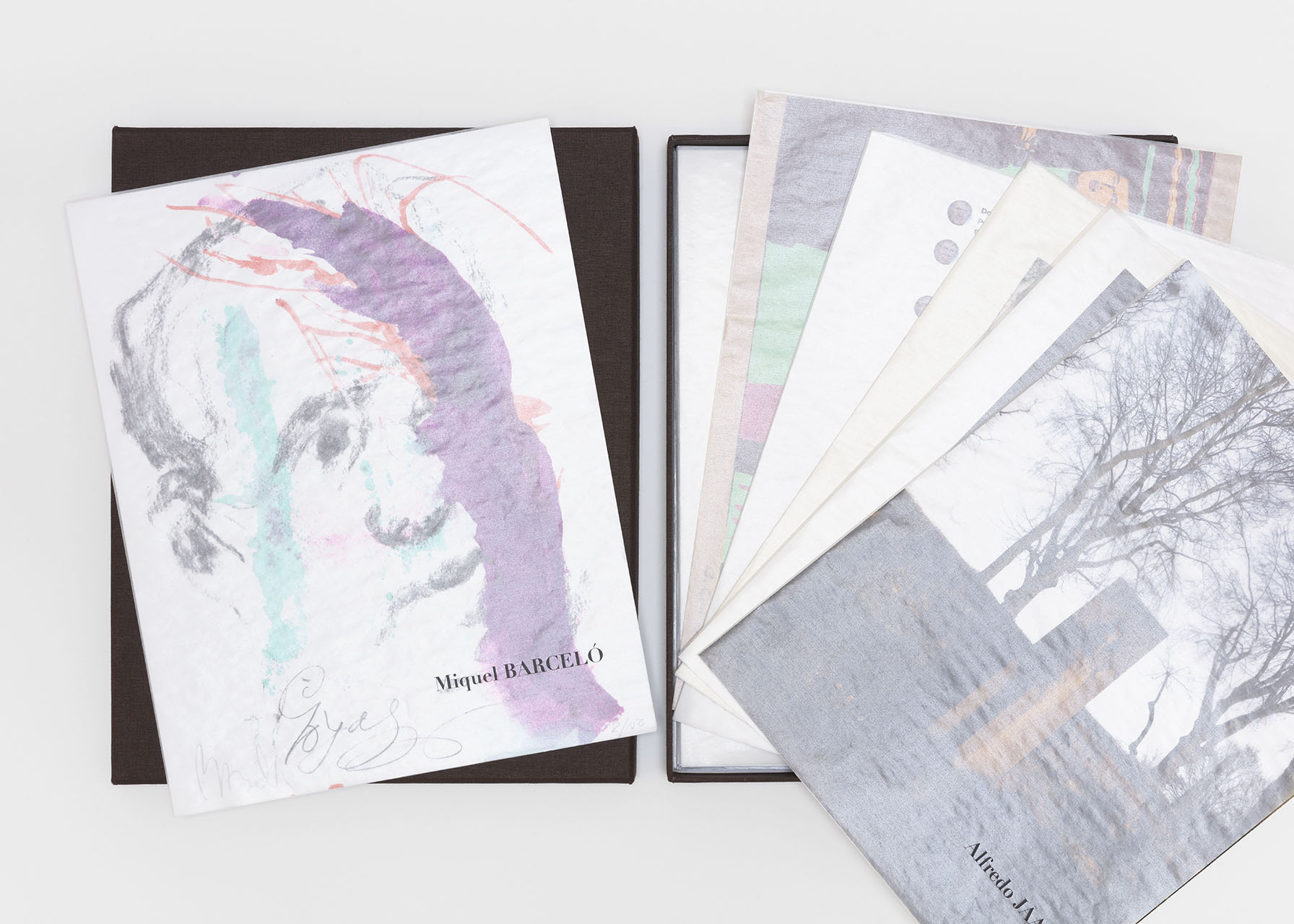 Ever Goya THE PRINT PORTFOLIO