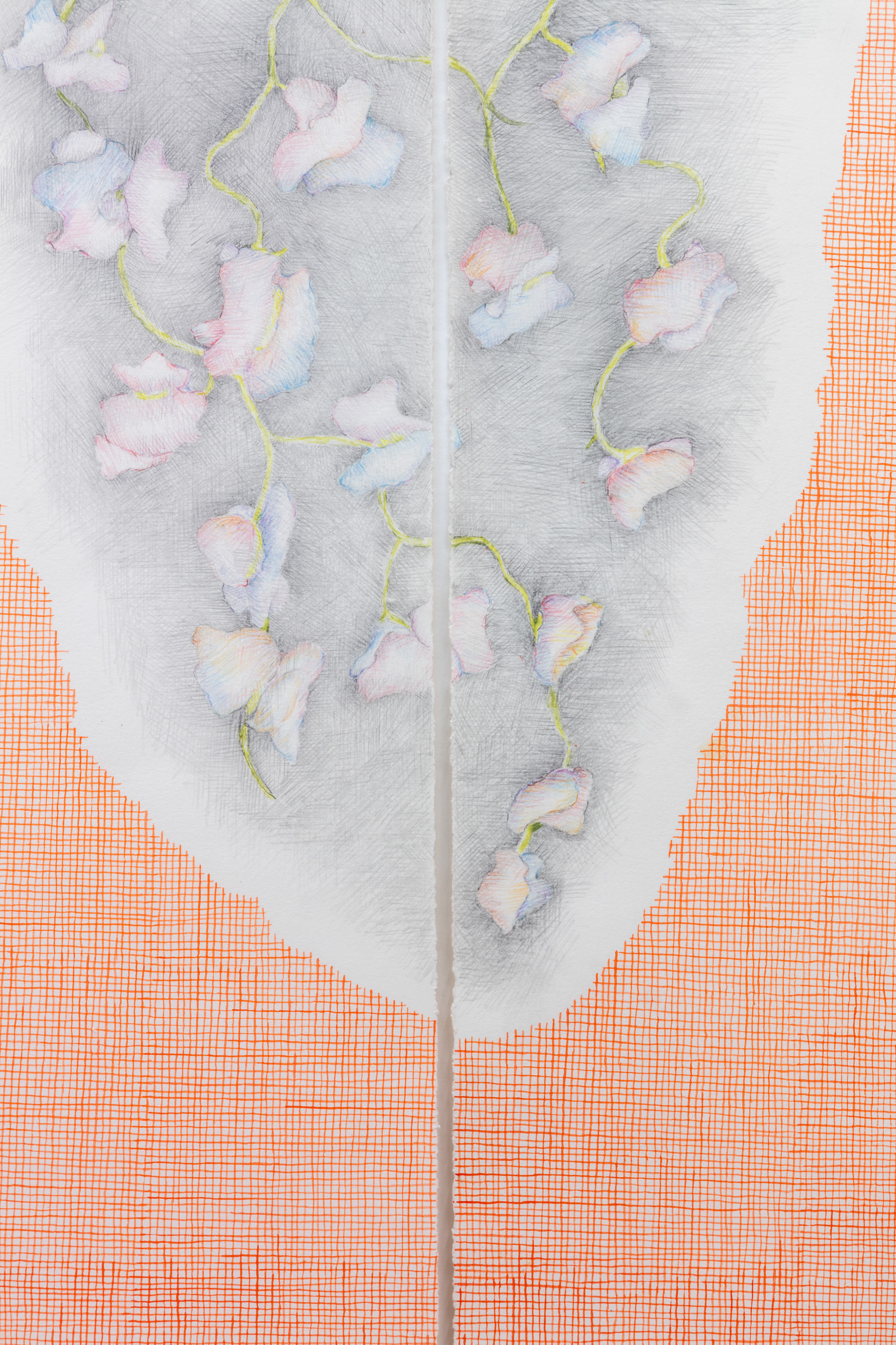 Untitled (Hares)