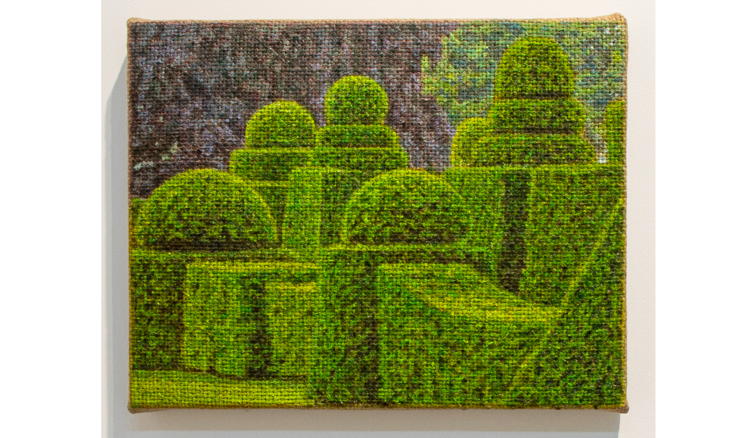 Hedges