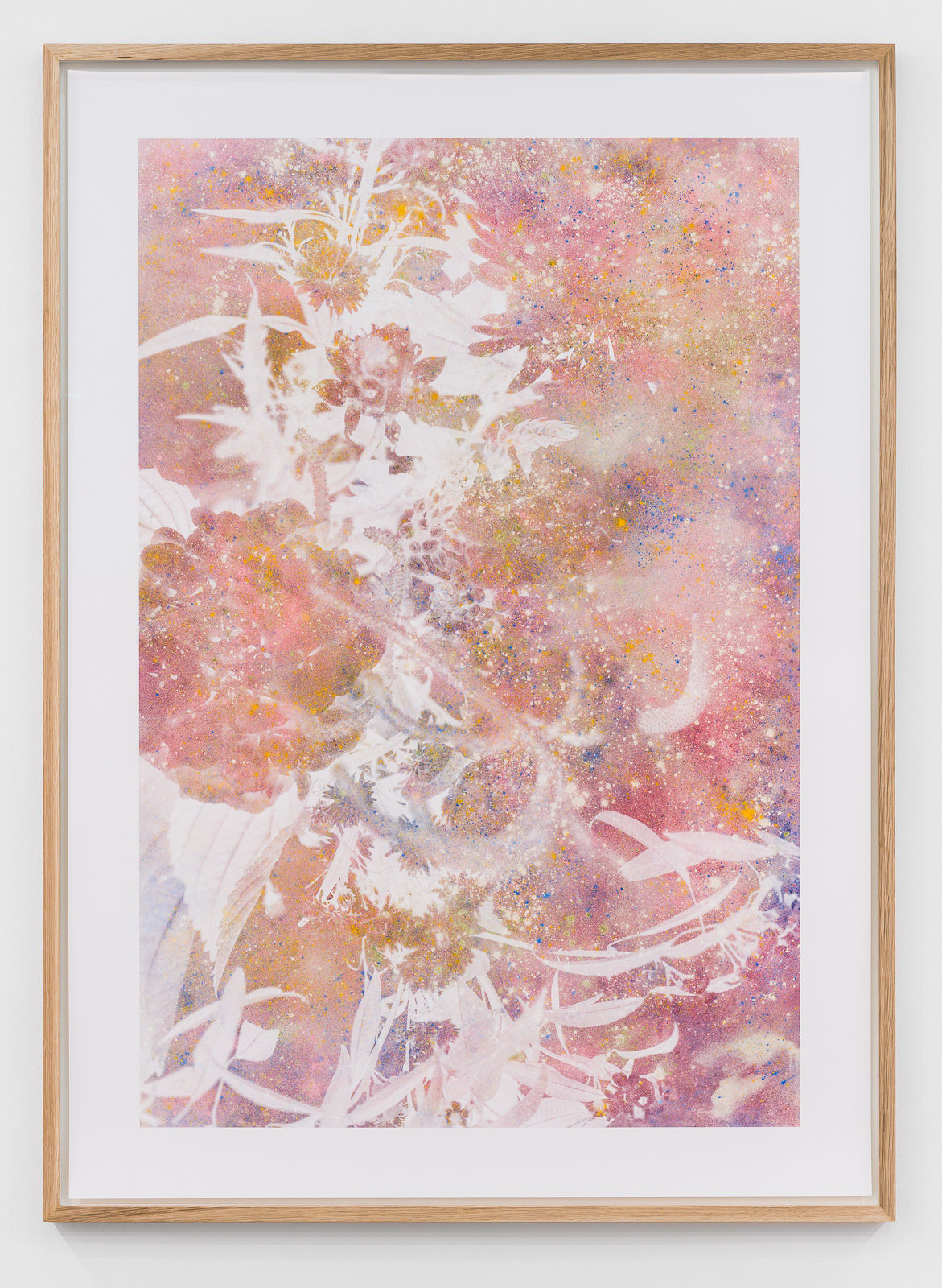 Flowers (2)