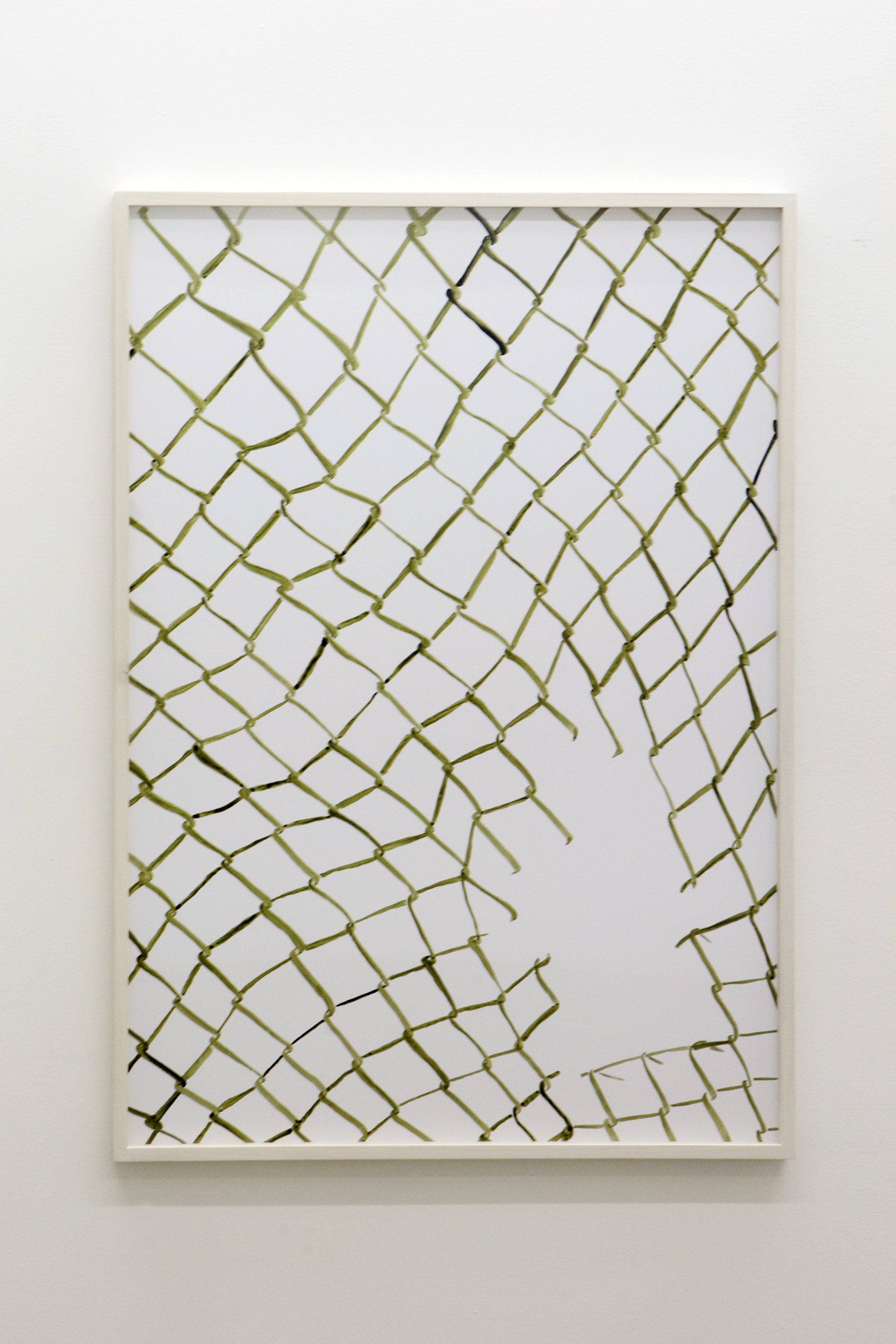 Untitled (Net 1)