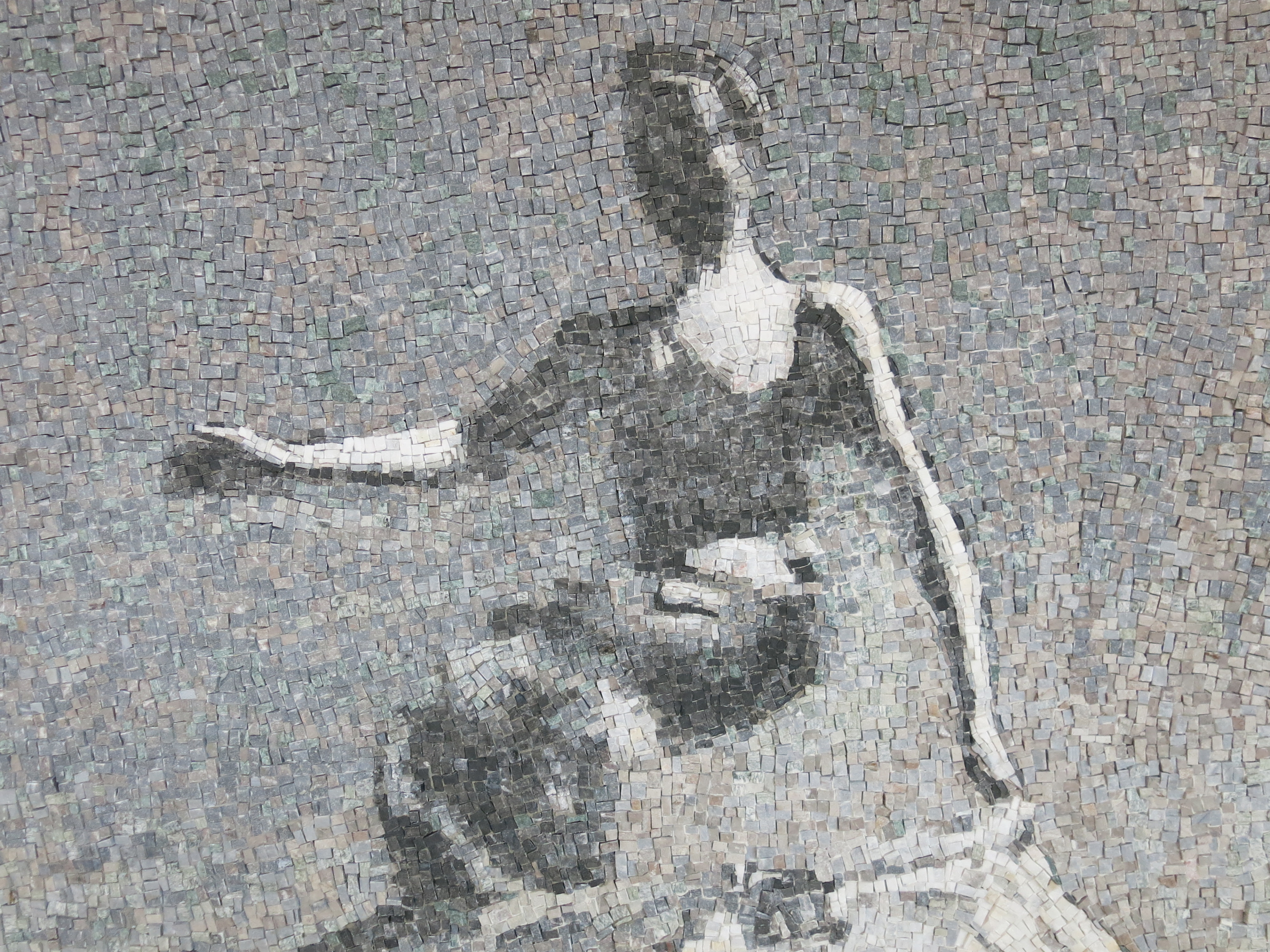 Il salto