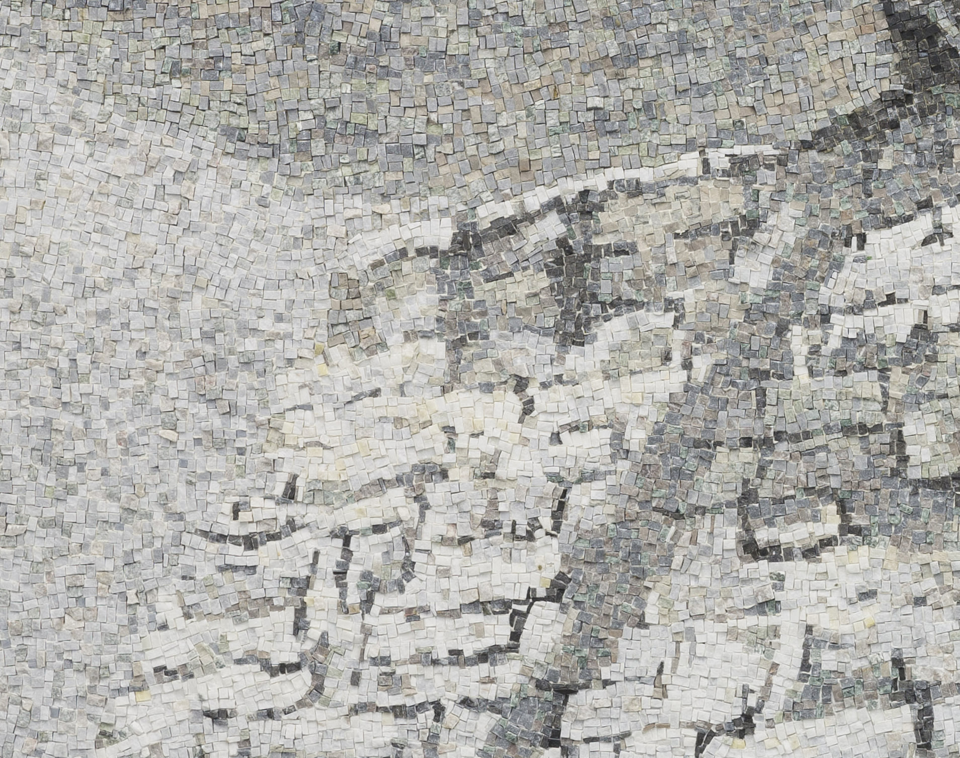Il salto