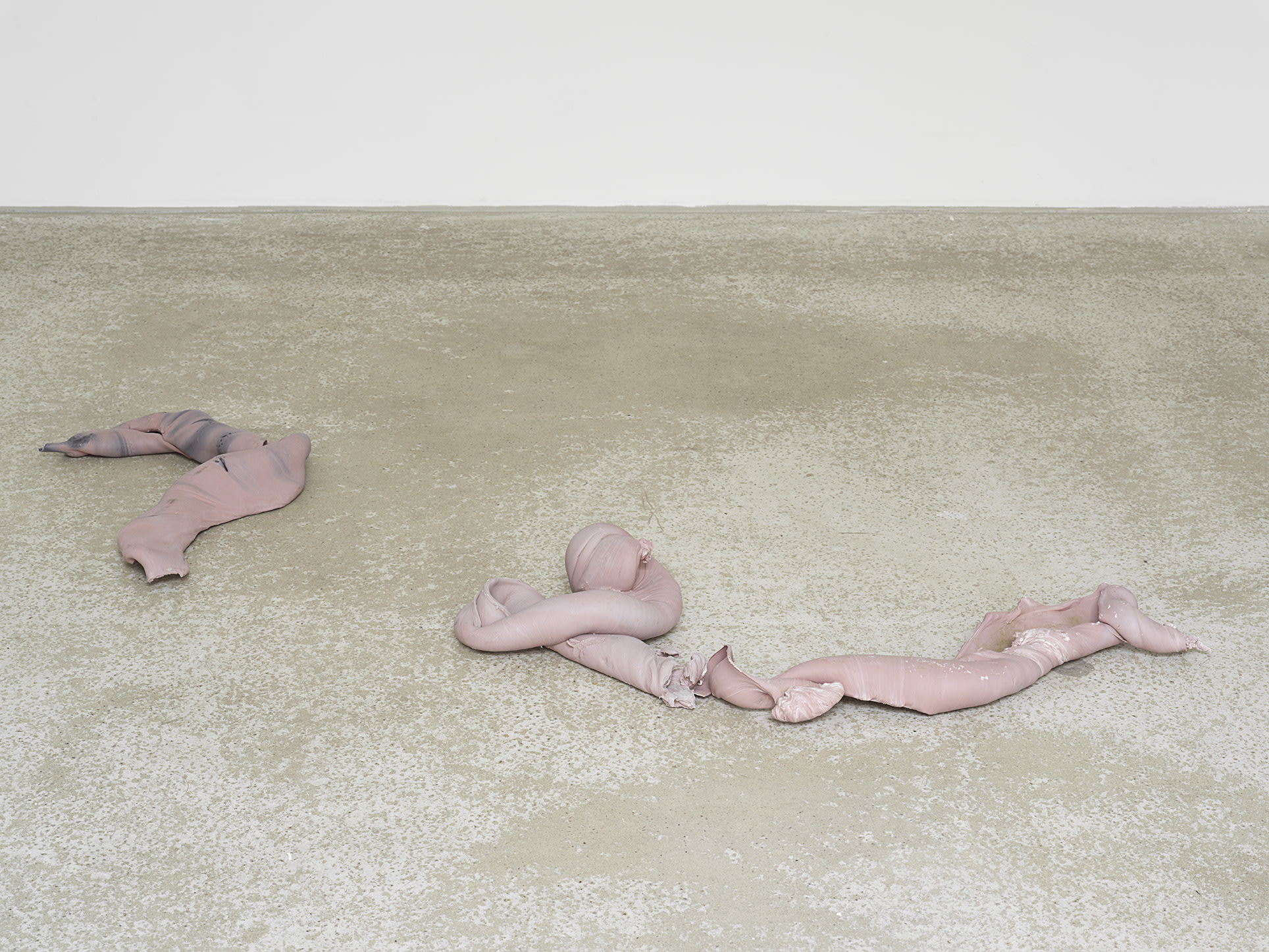 Shedding Sheaths (D)