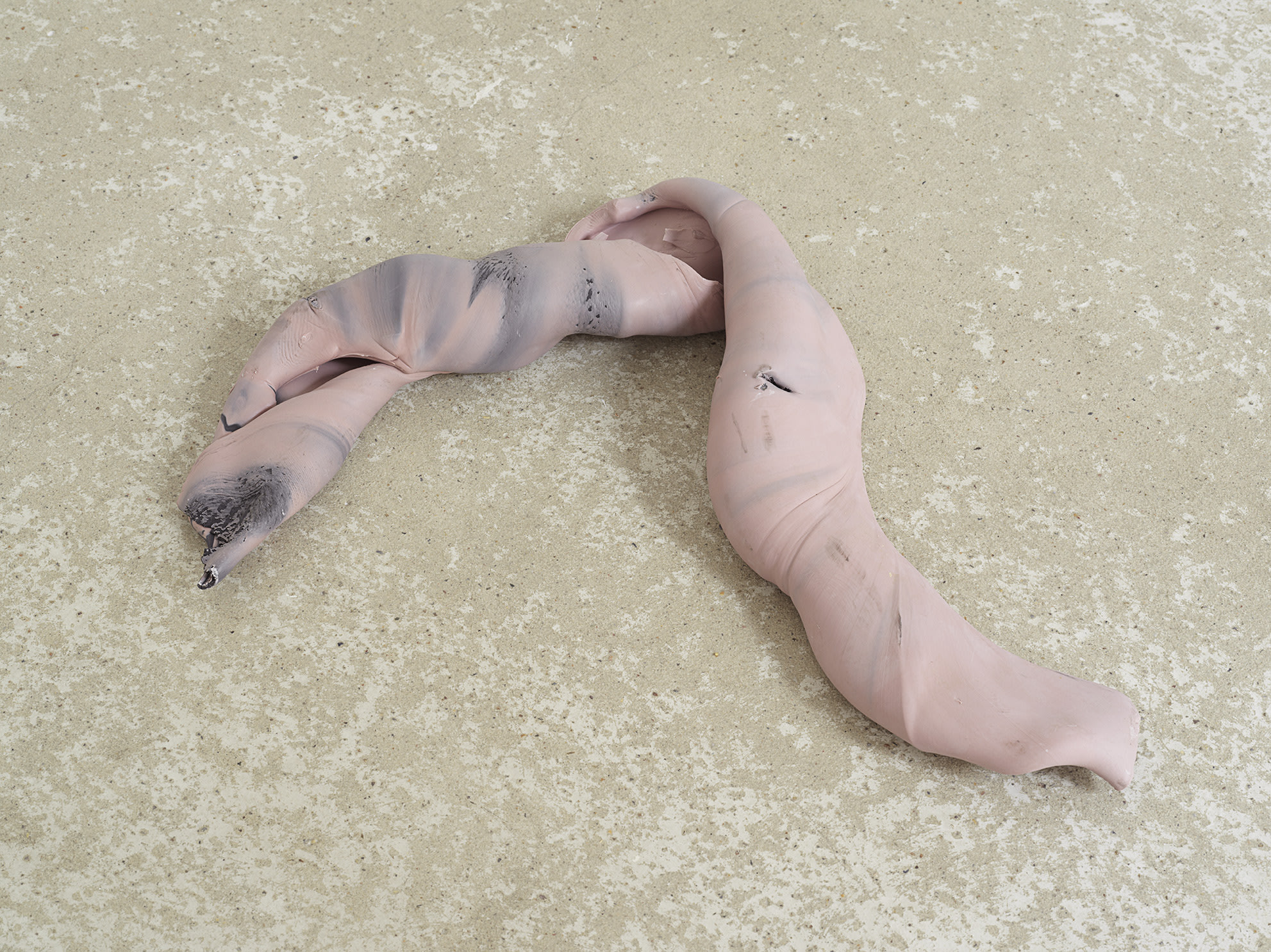 Shedding Sheaths (D)