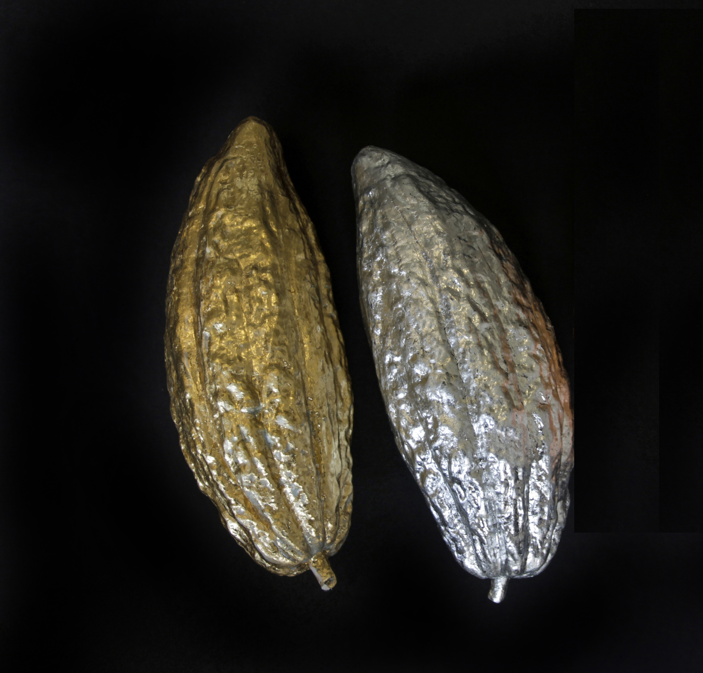 Seeds Of Gold, Turn Fertile Land to Stone