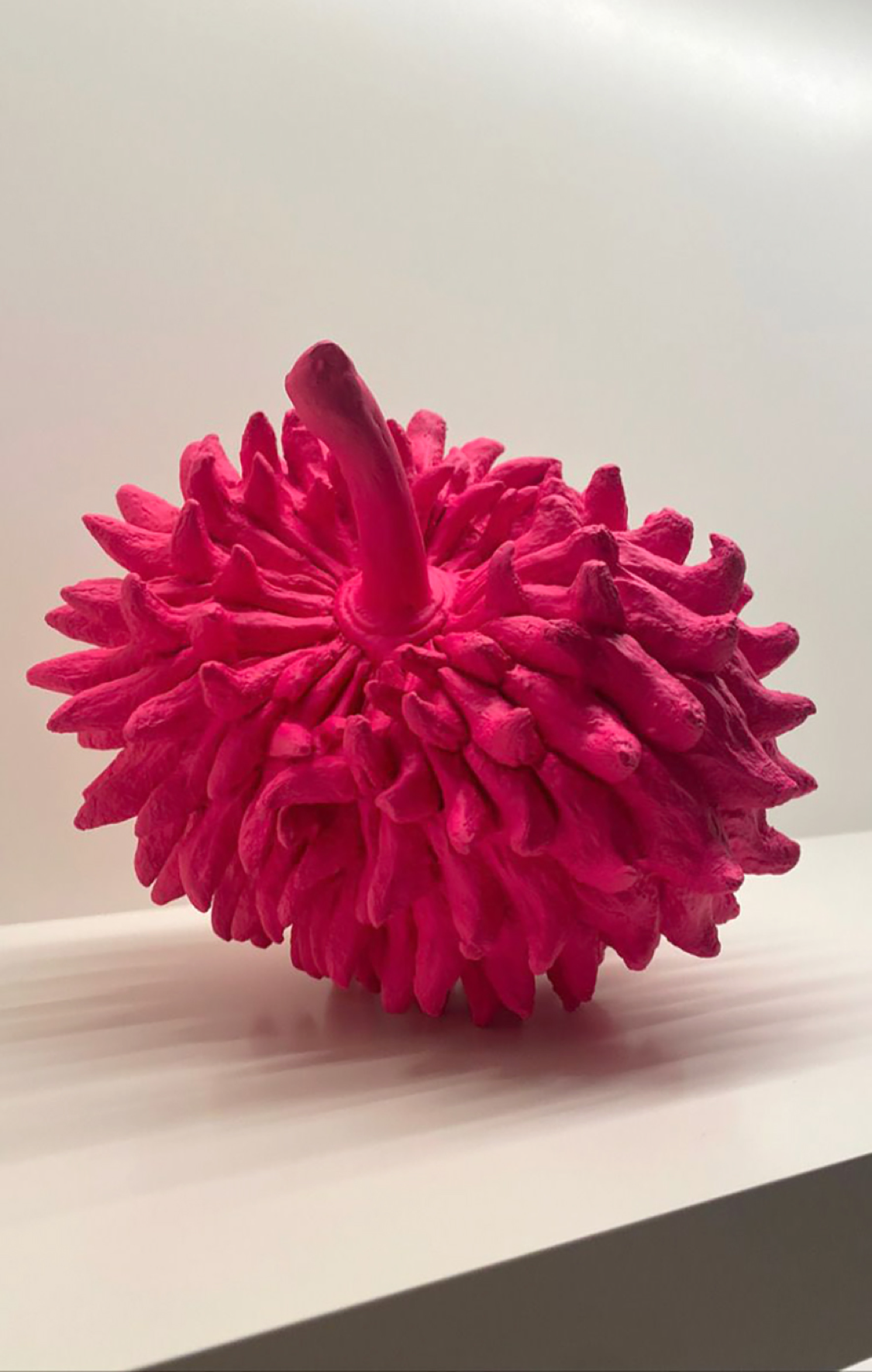 Silvana Pestana Untitled