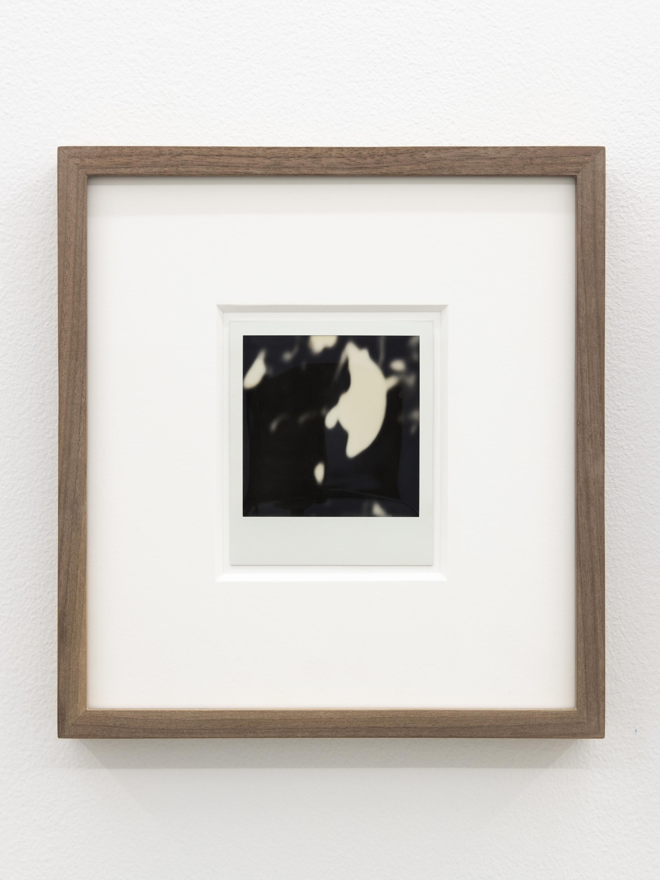 Untitled (Polaroid)