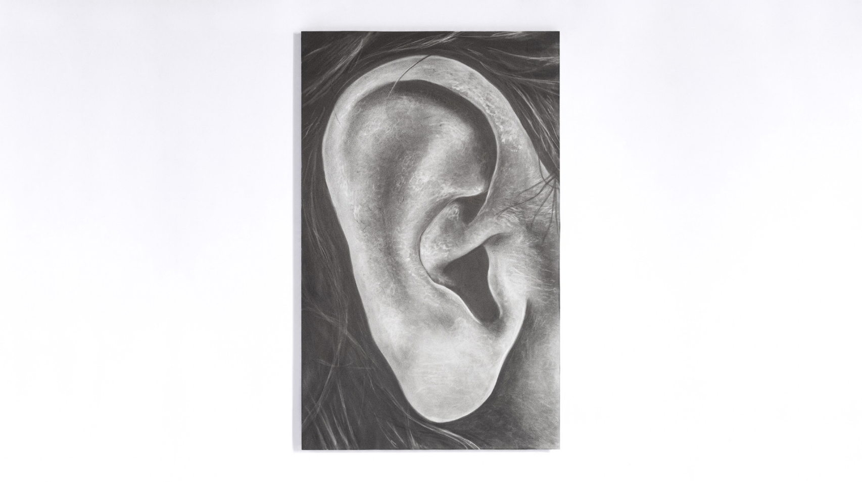 Untitled (right ear)