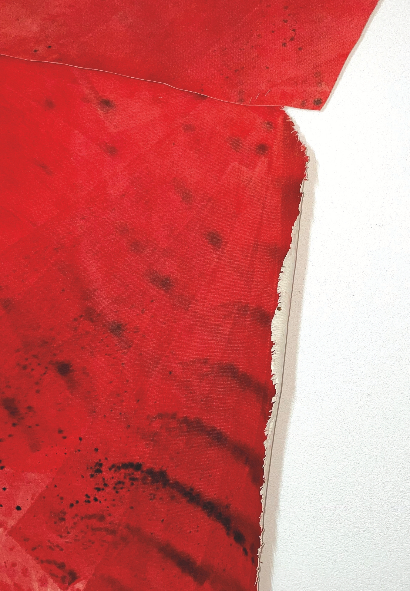 The lady in red with dog
