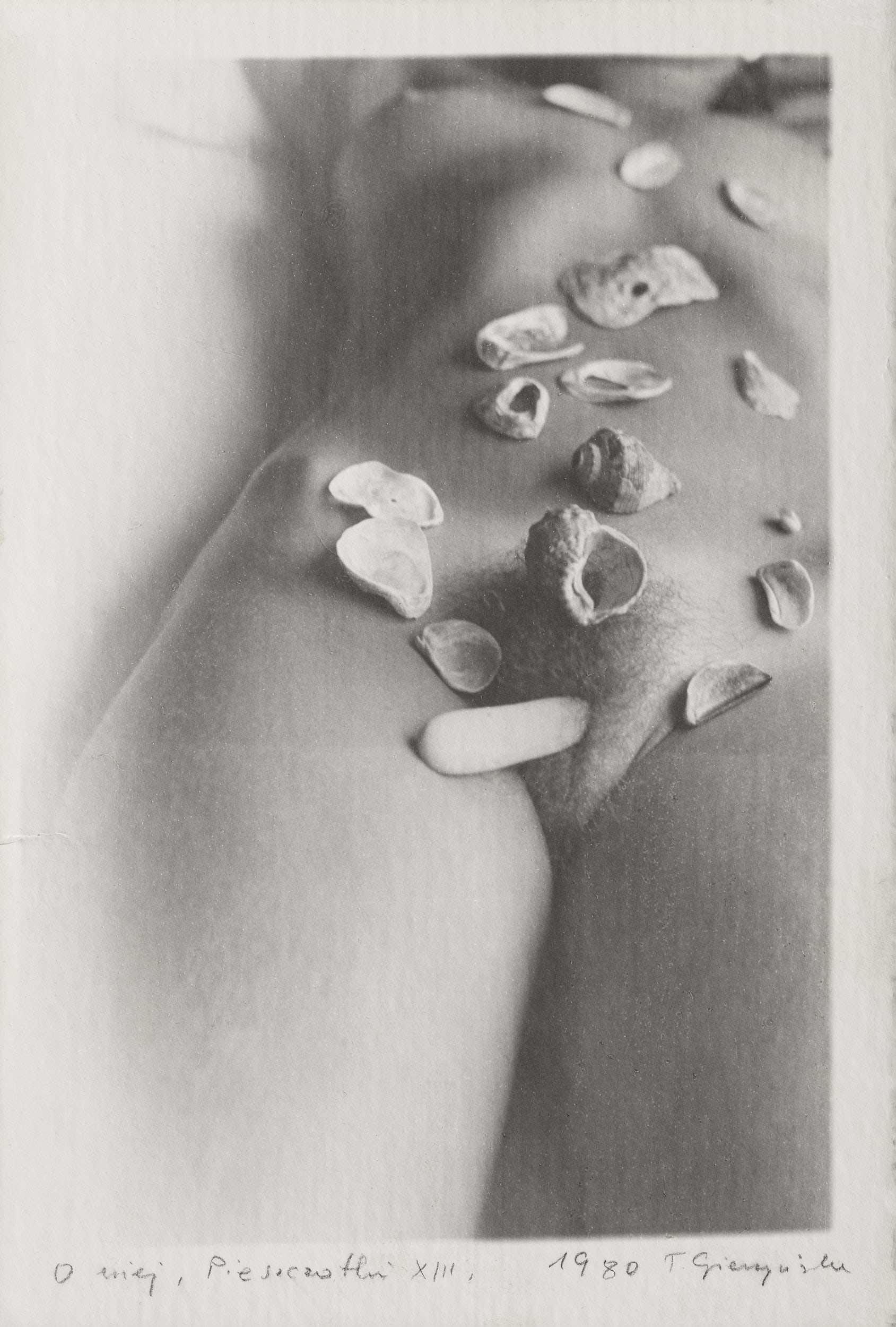 Caresses XIII
