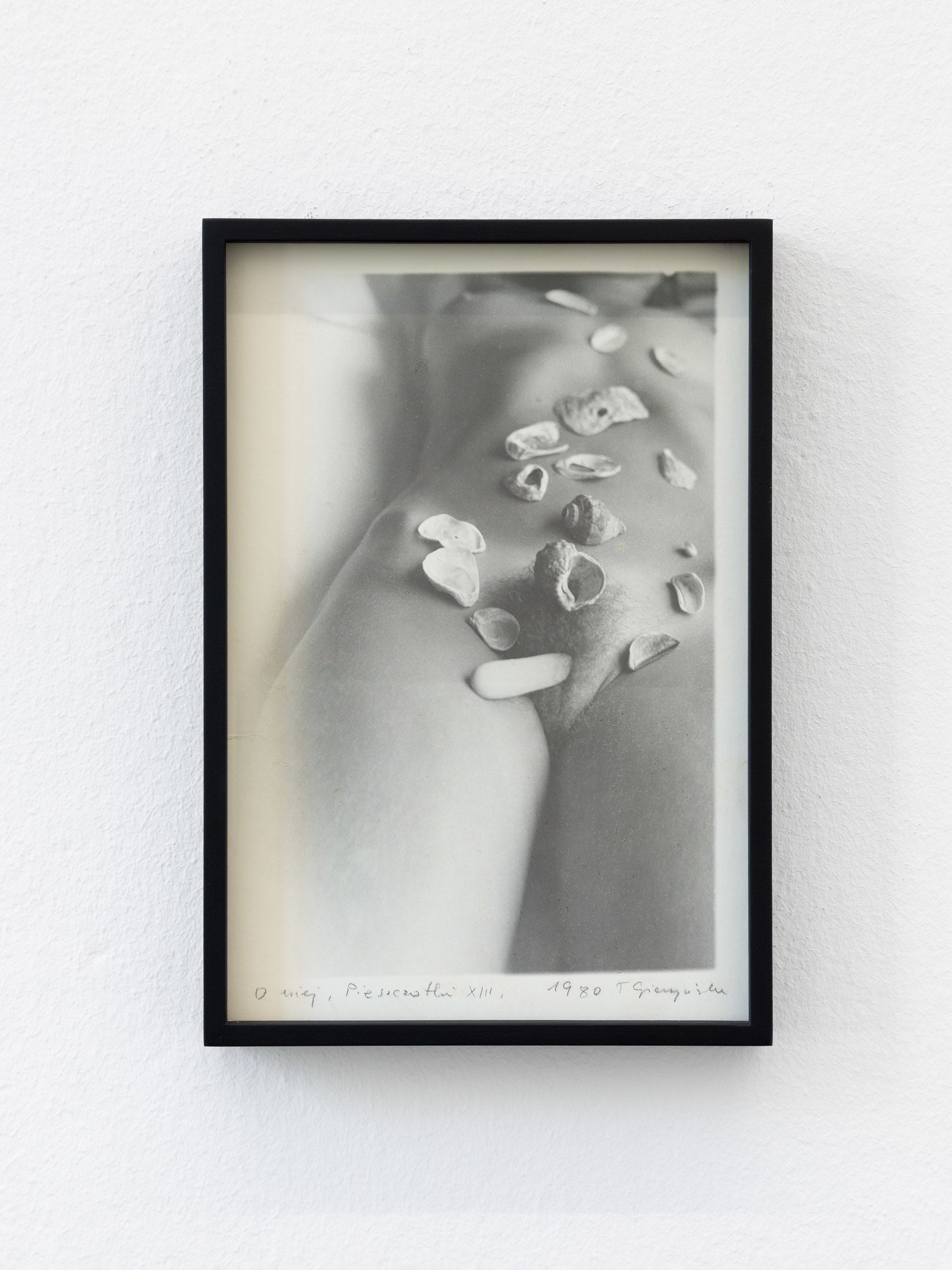 Caresses XIII