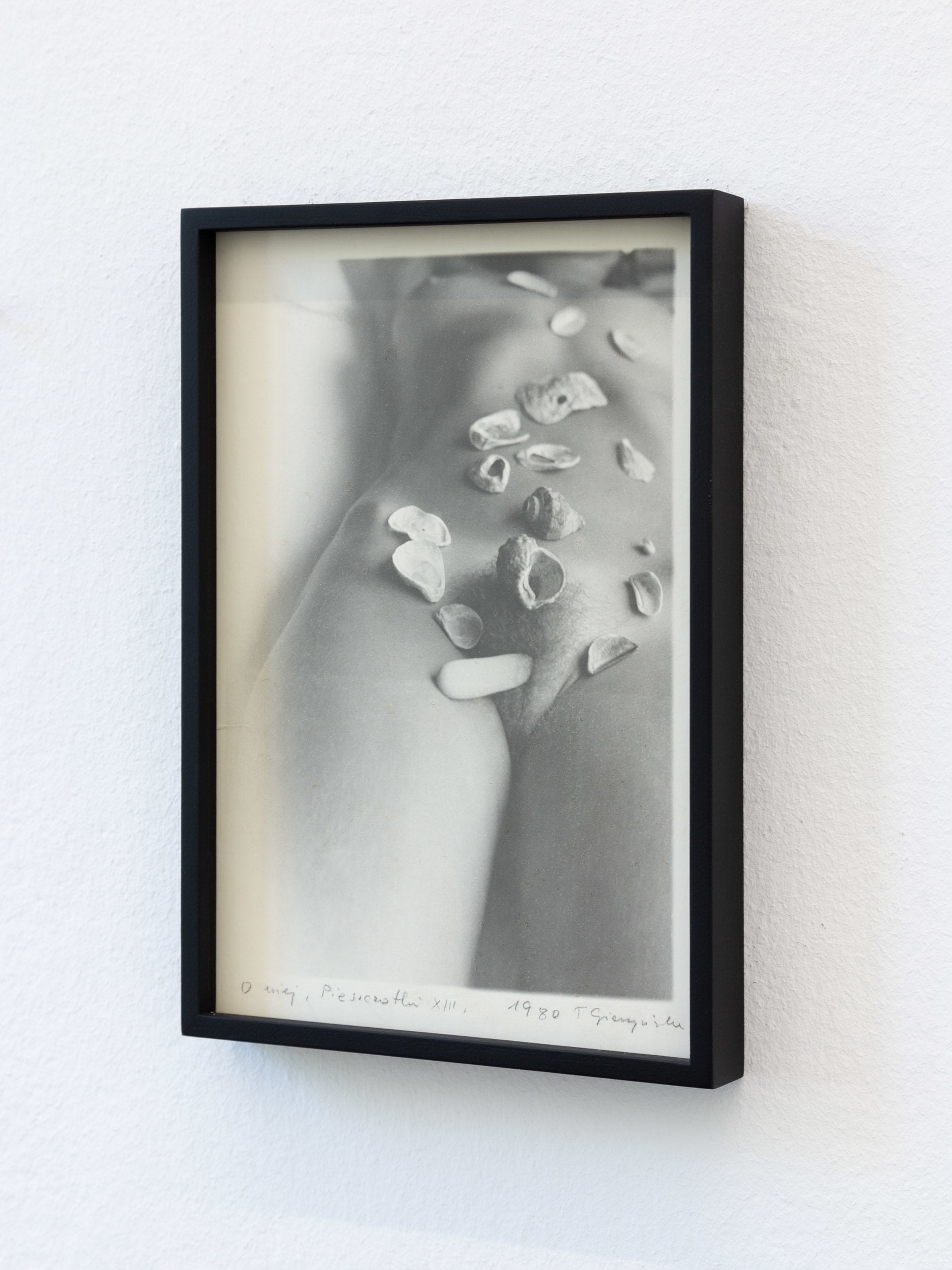 Caresses XIII