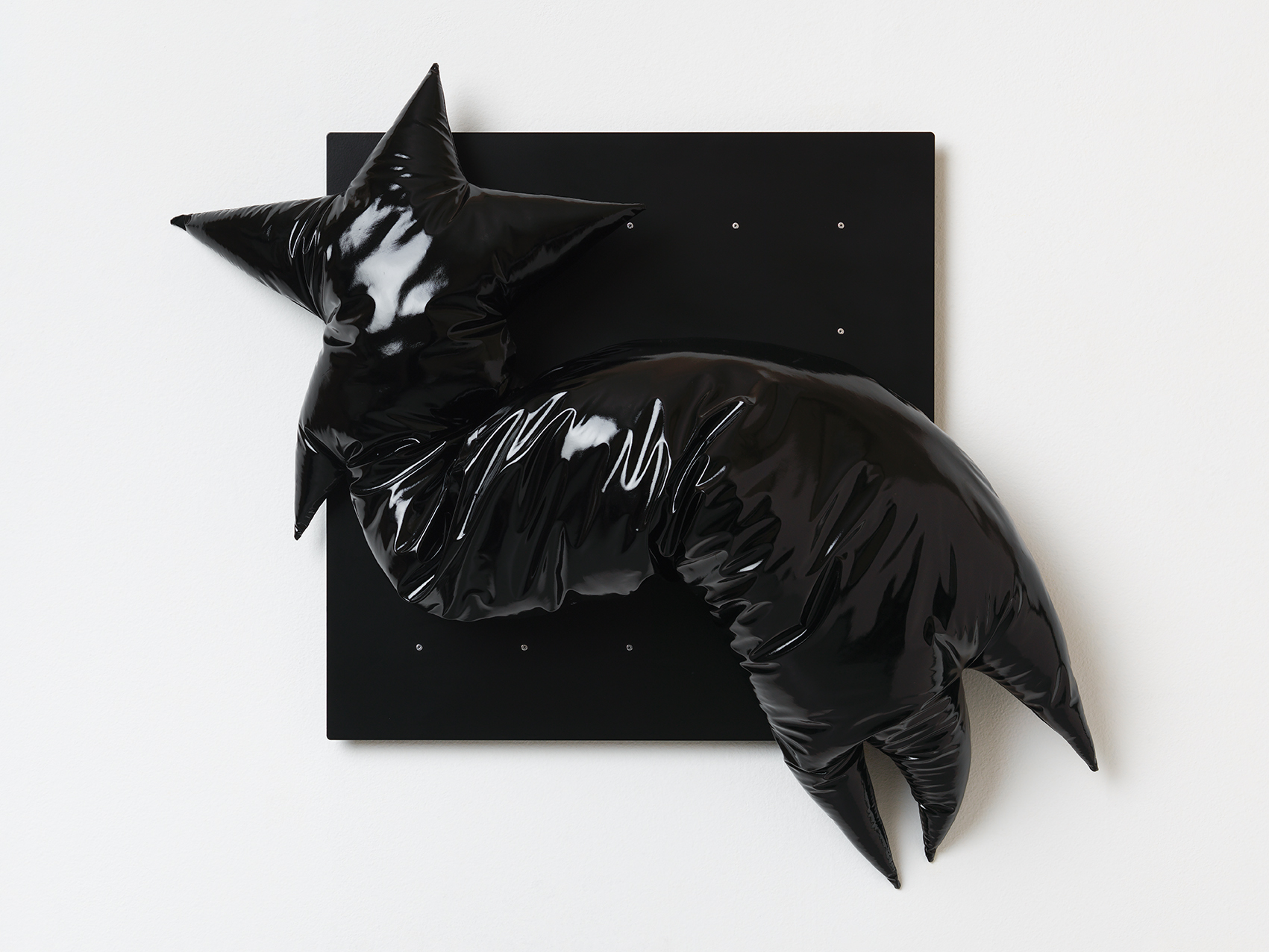 Cometa nera