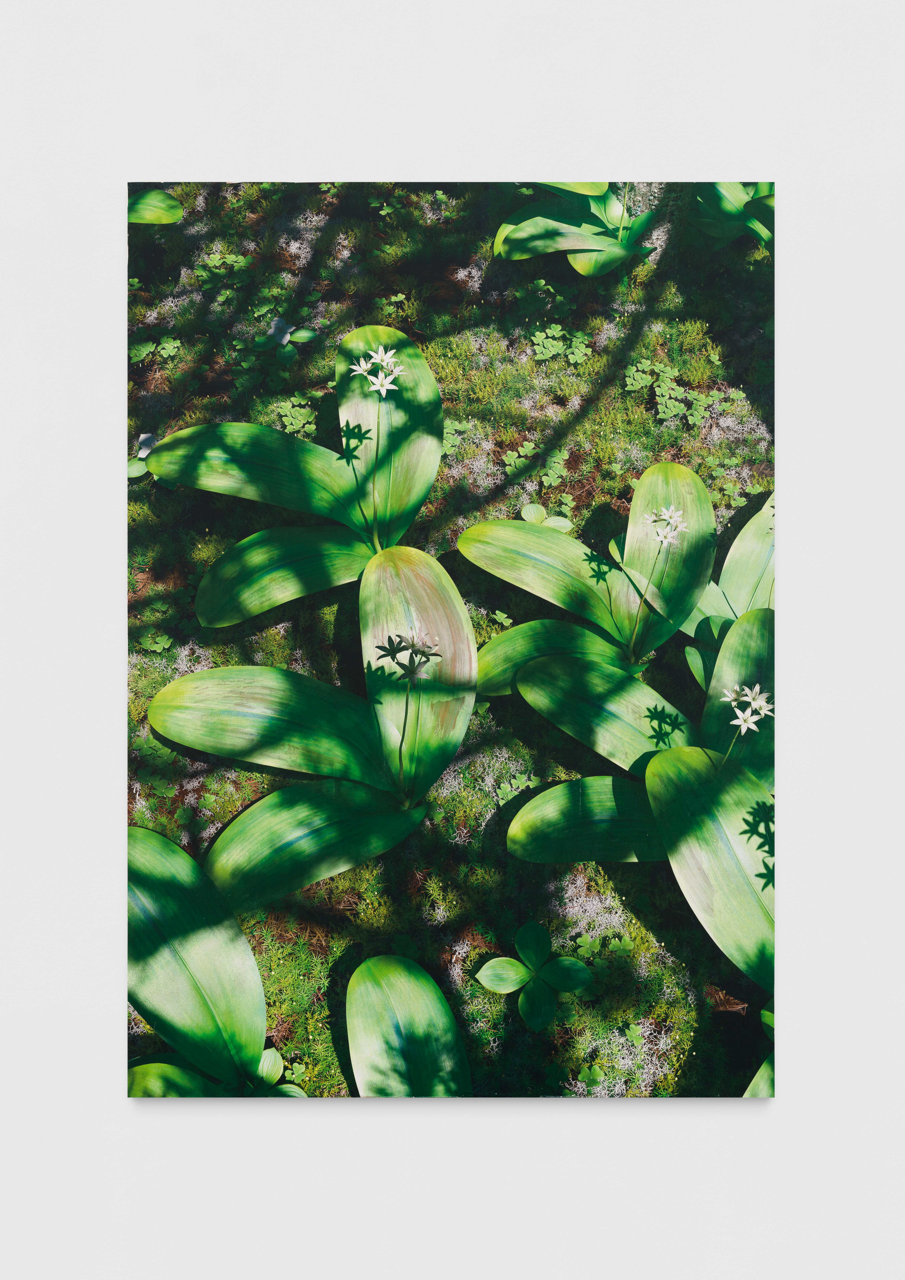Untitled (natural origin, 10)