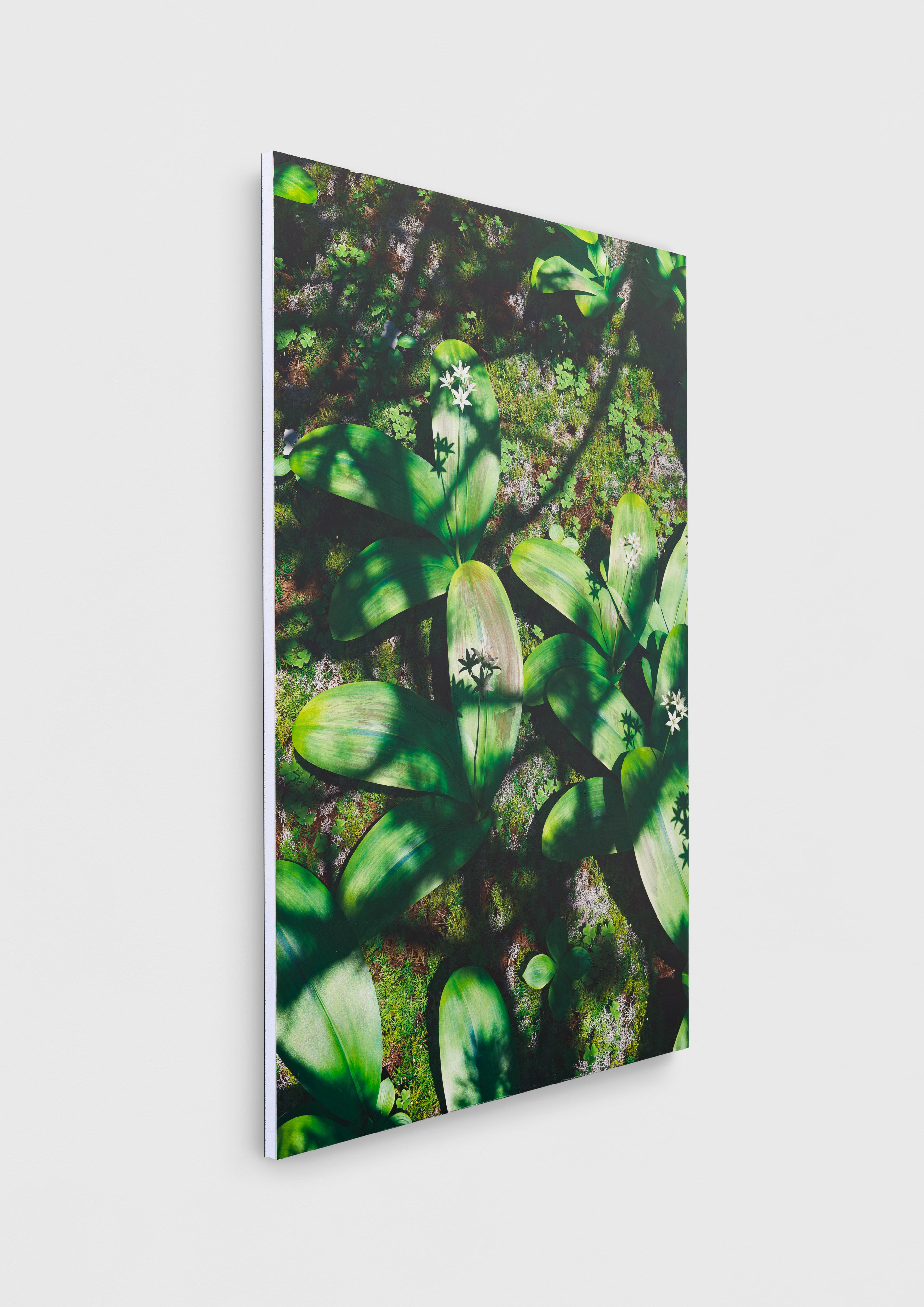 Untitled (natural origin, 10)