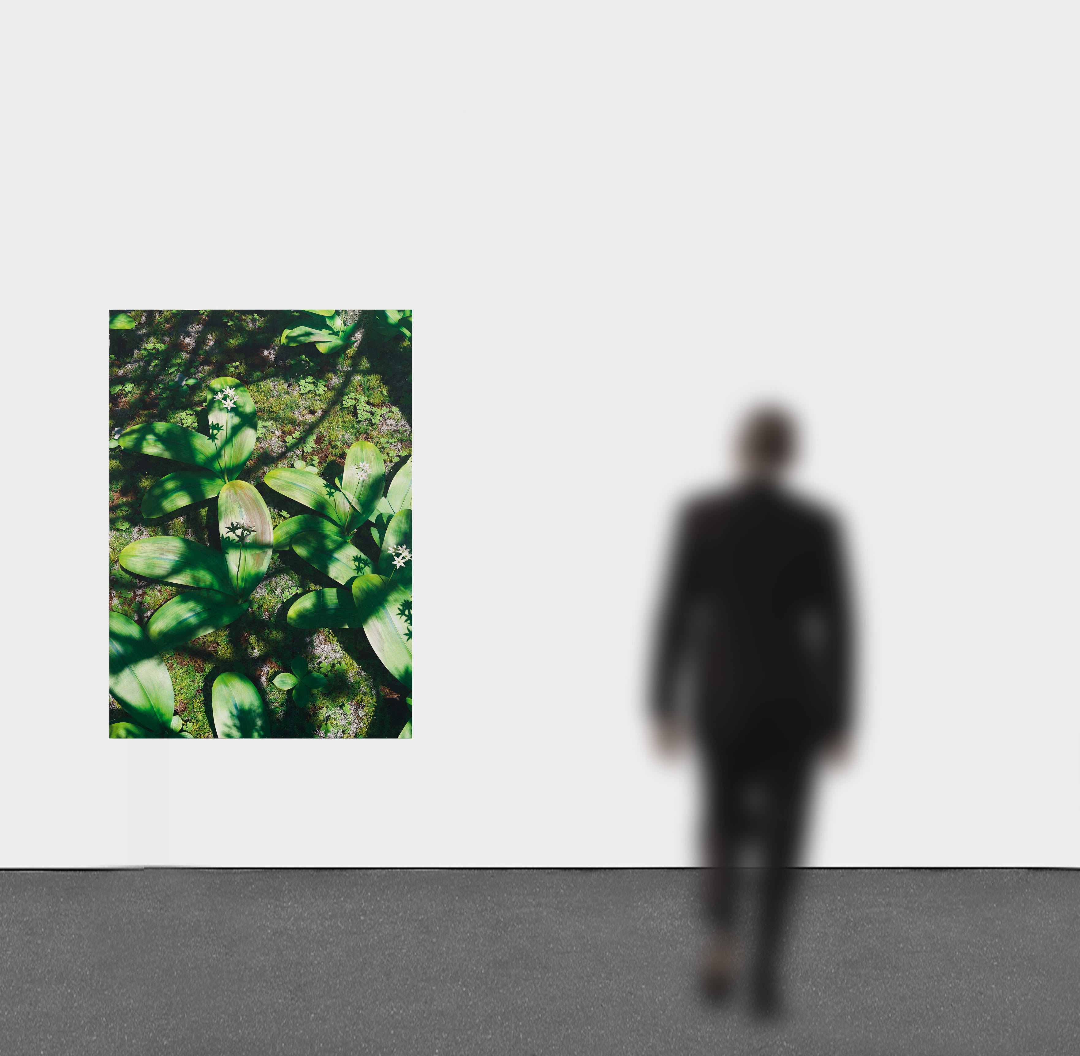 Untitled (natural origin, 10)