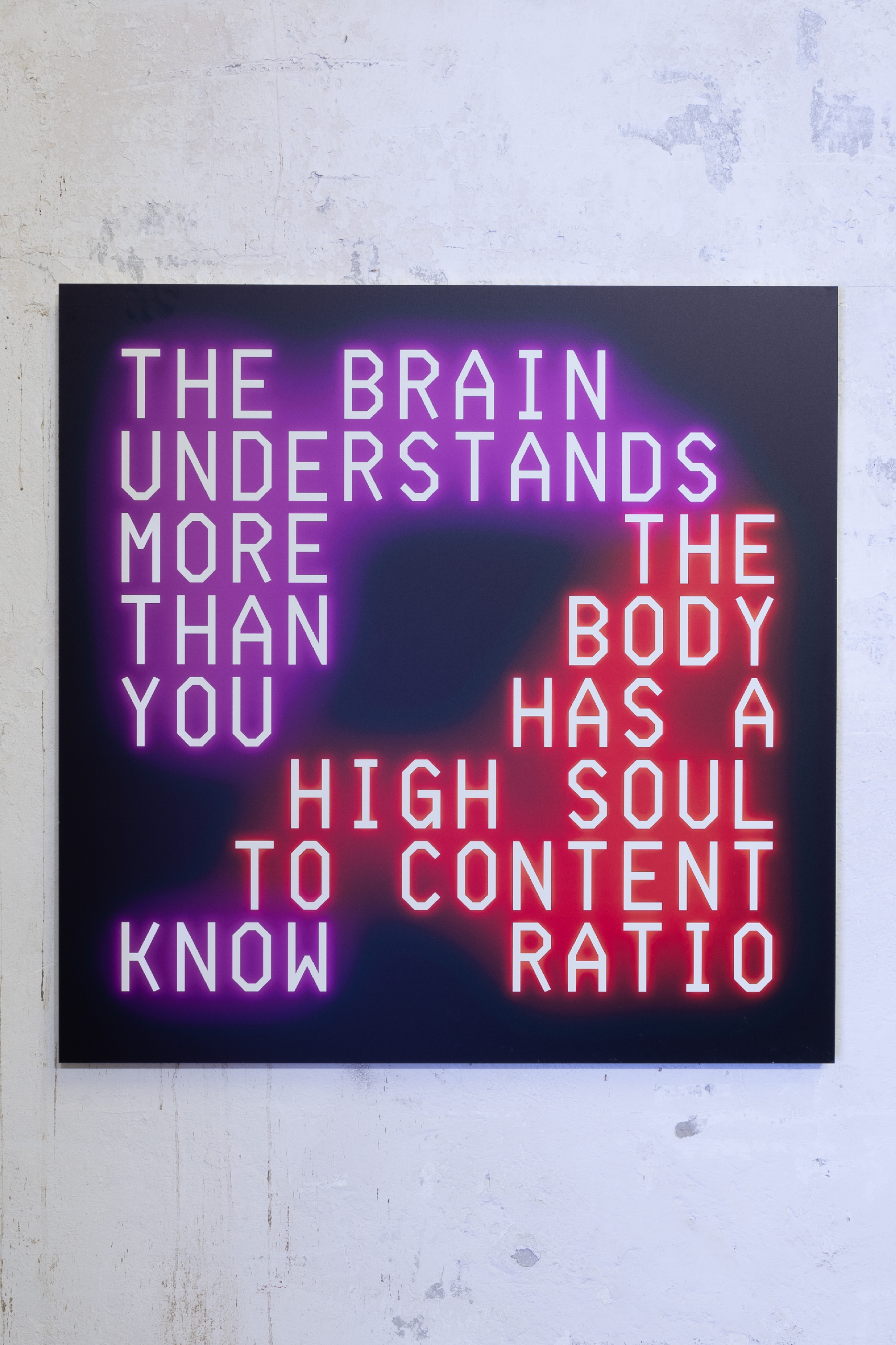 CORPOREAL APHORISMS No.1