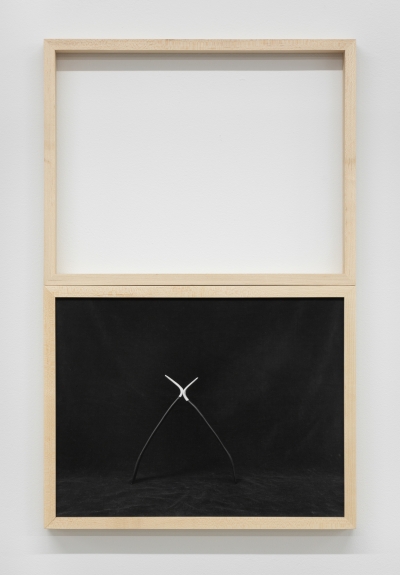still life lean