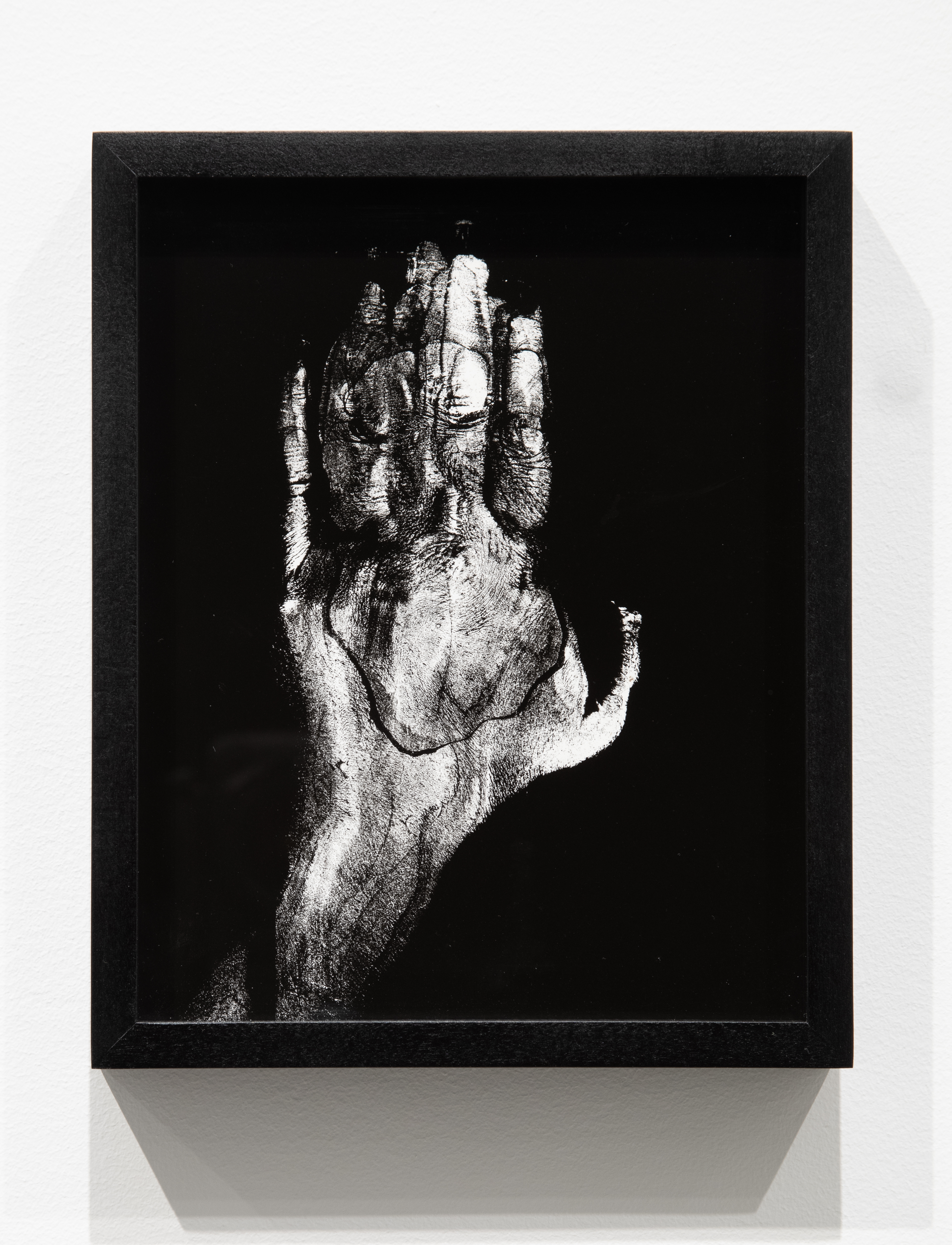 body print test back of hand after Hammons