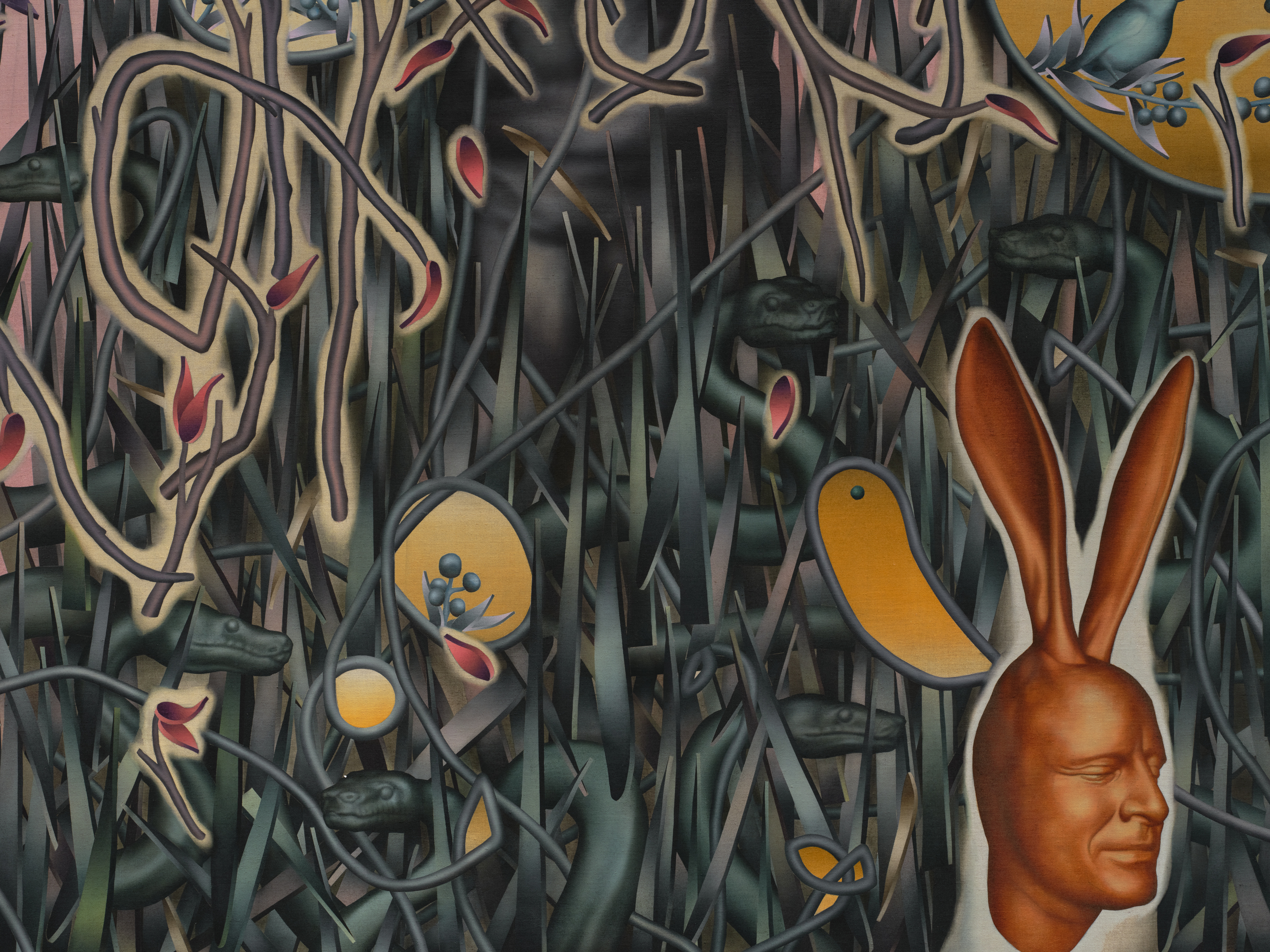 A person with a rabbit in a field