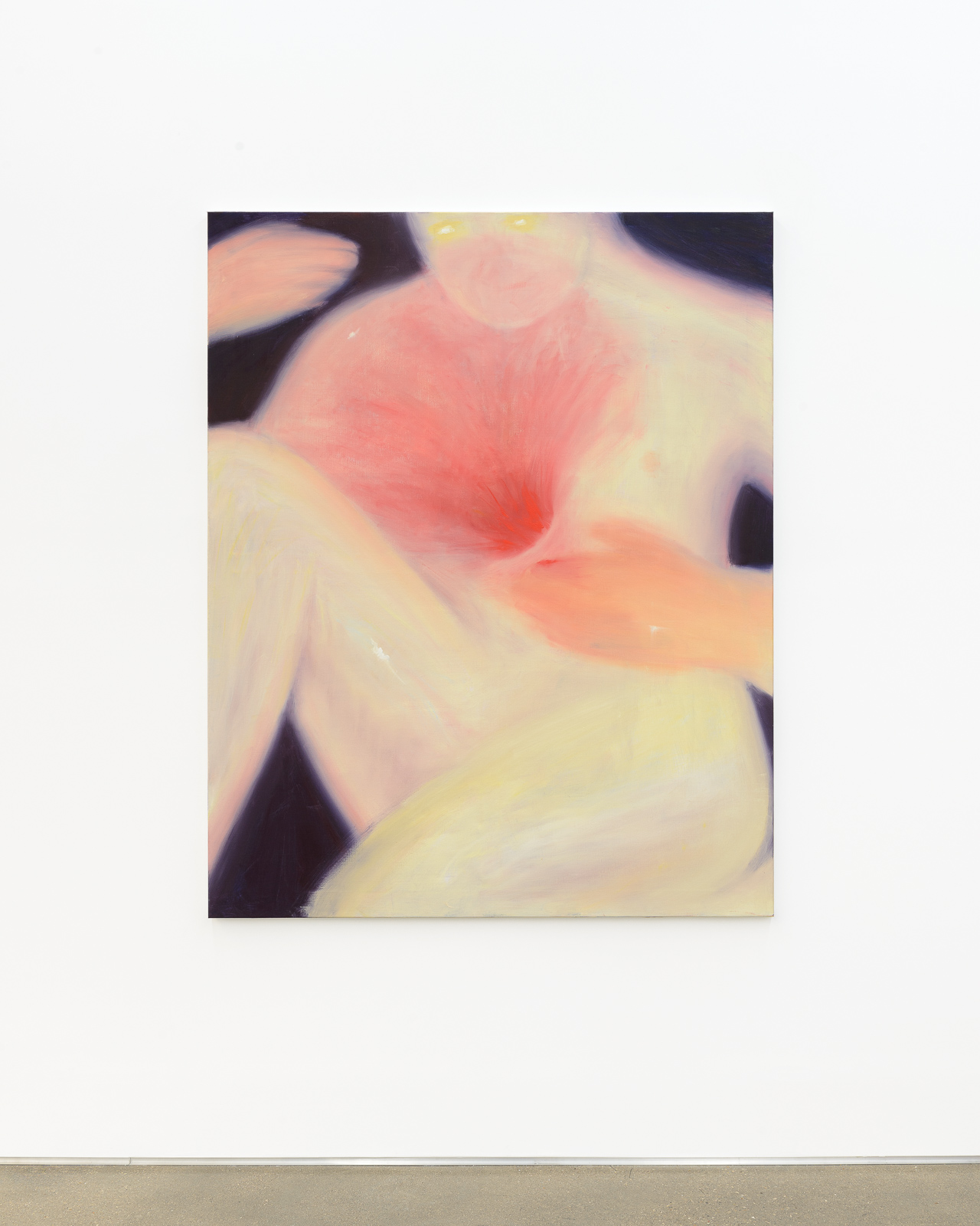 Adonis goutte-de-sang