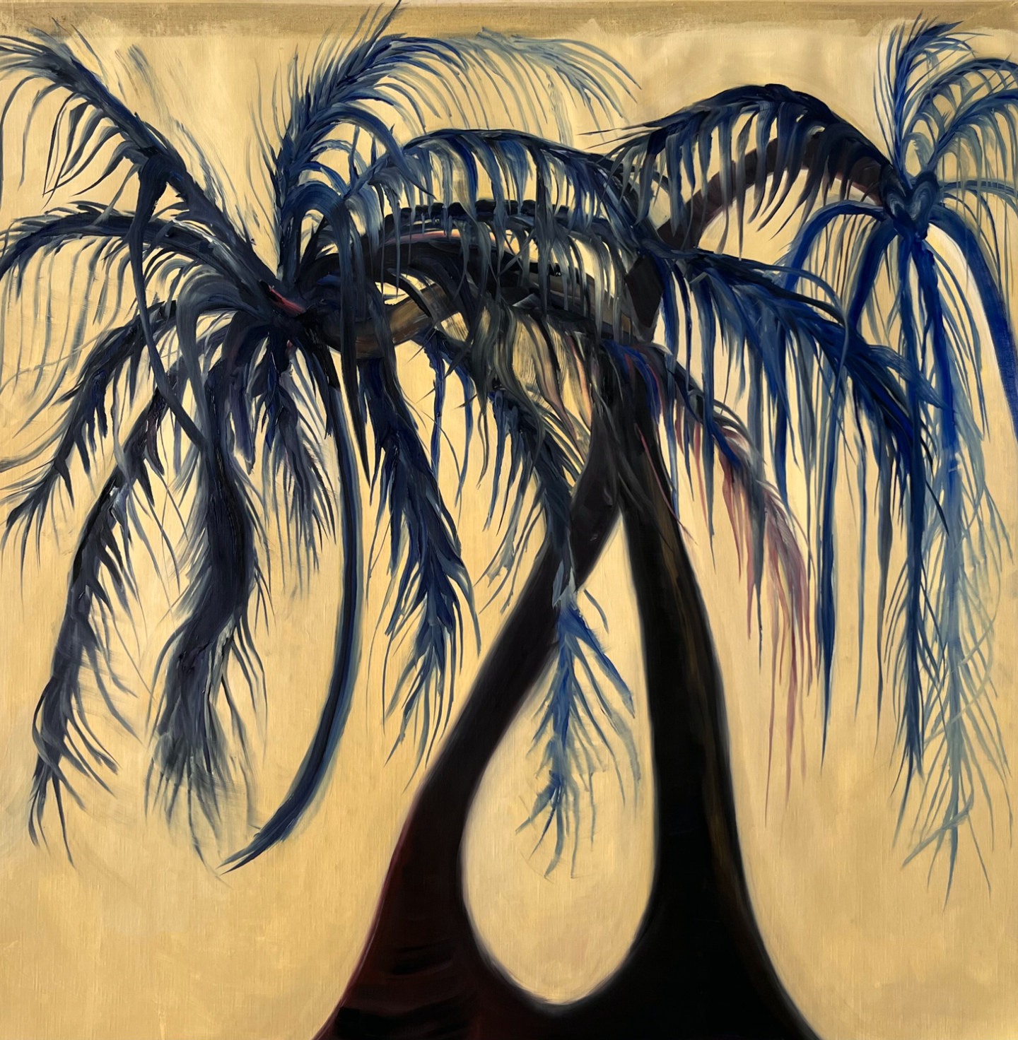 Palmeras