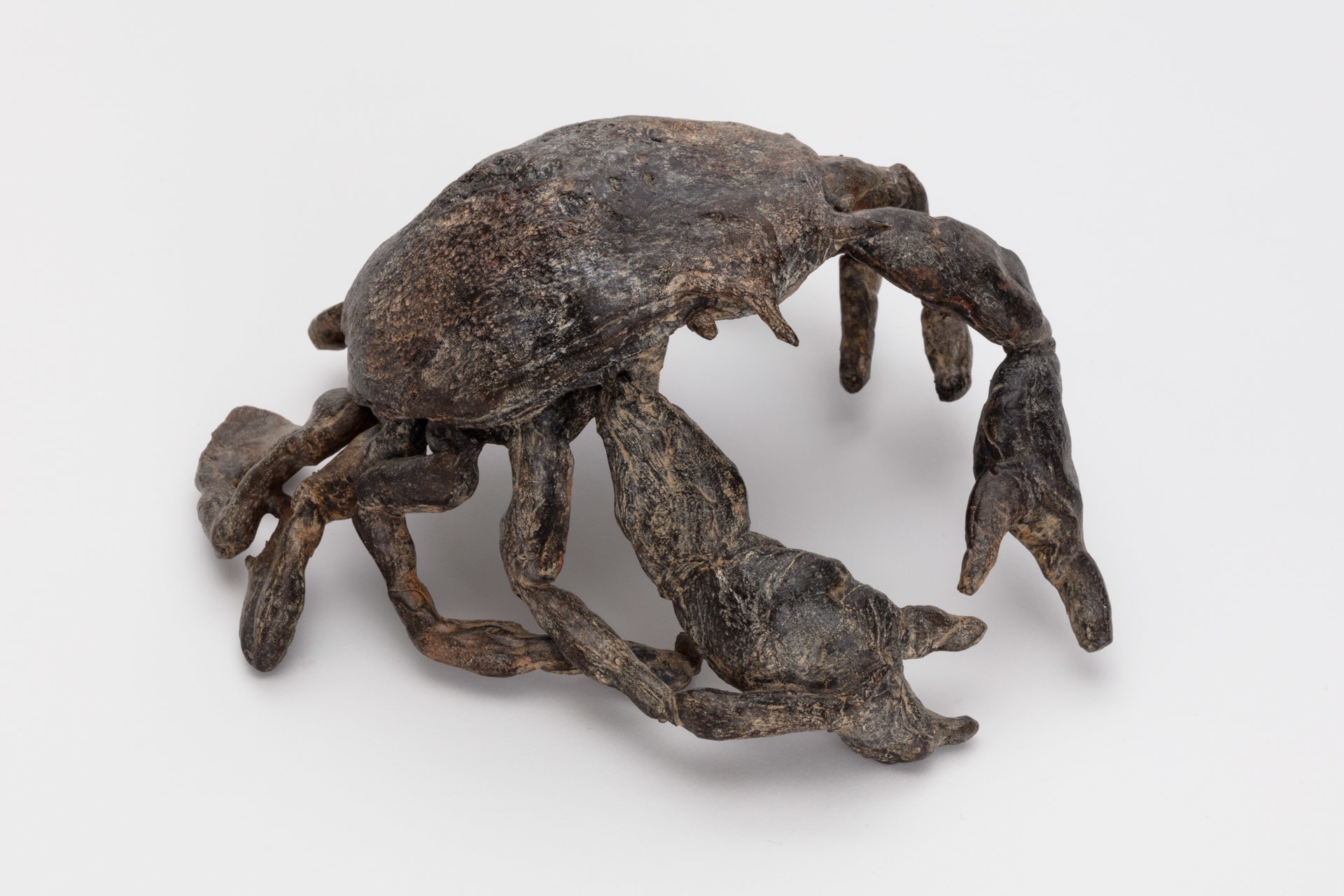 Dangerous Crab
