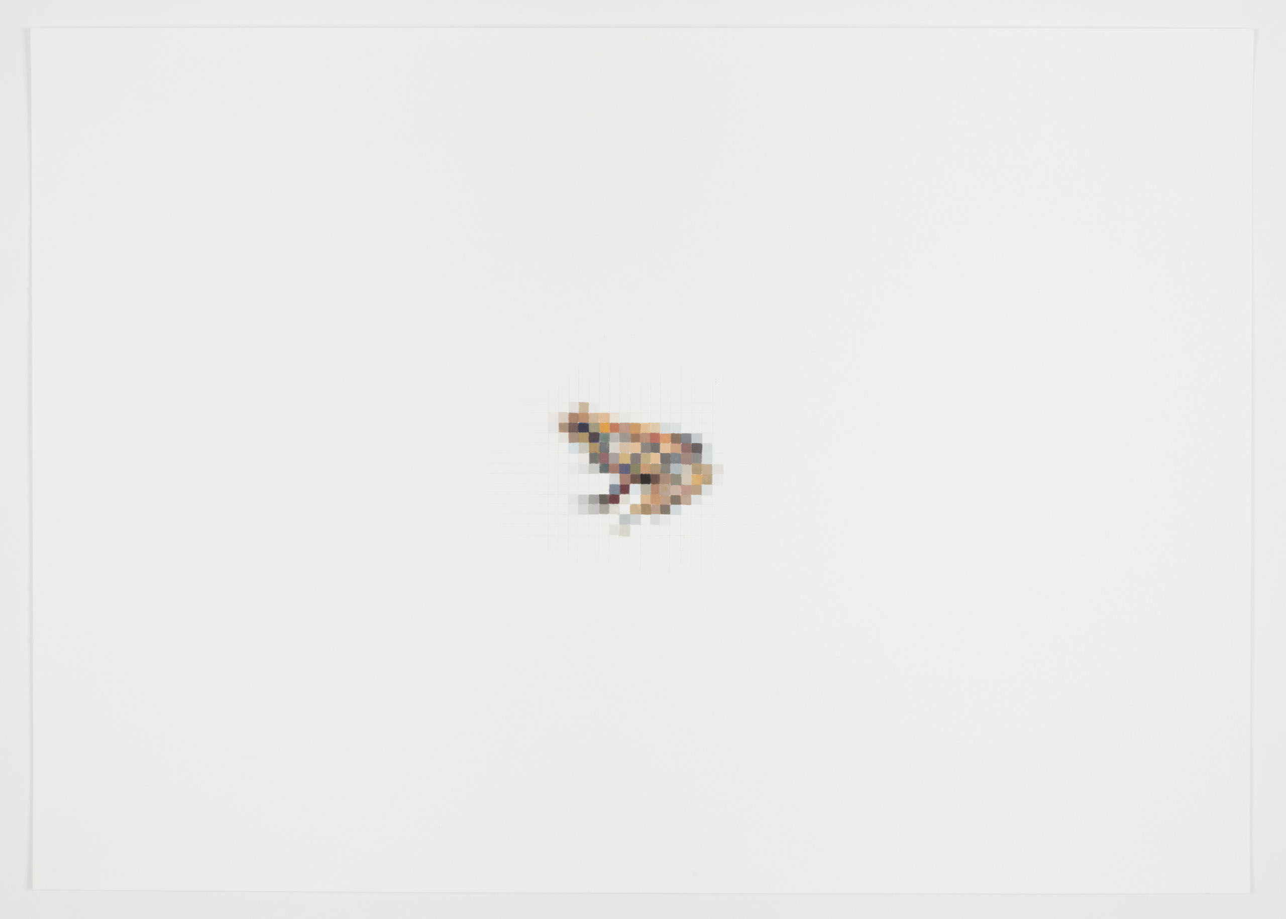 Common Frog