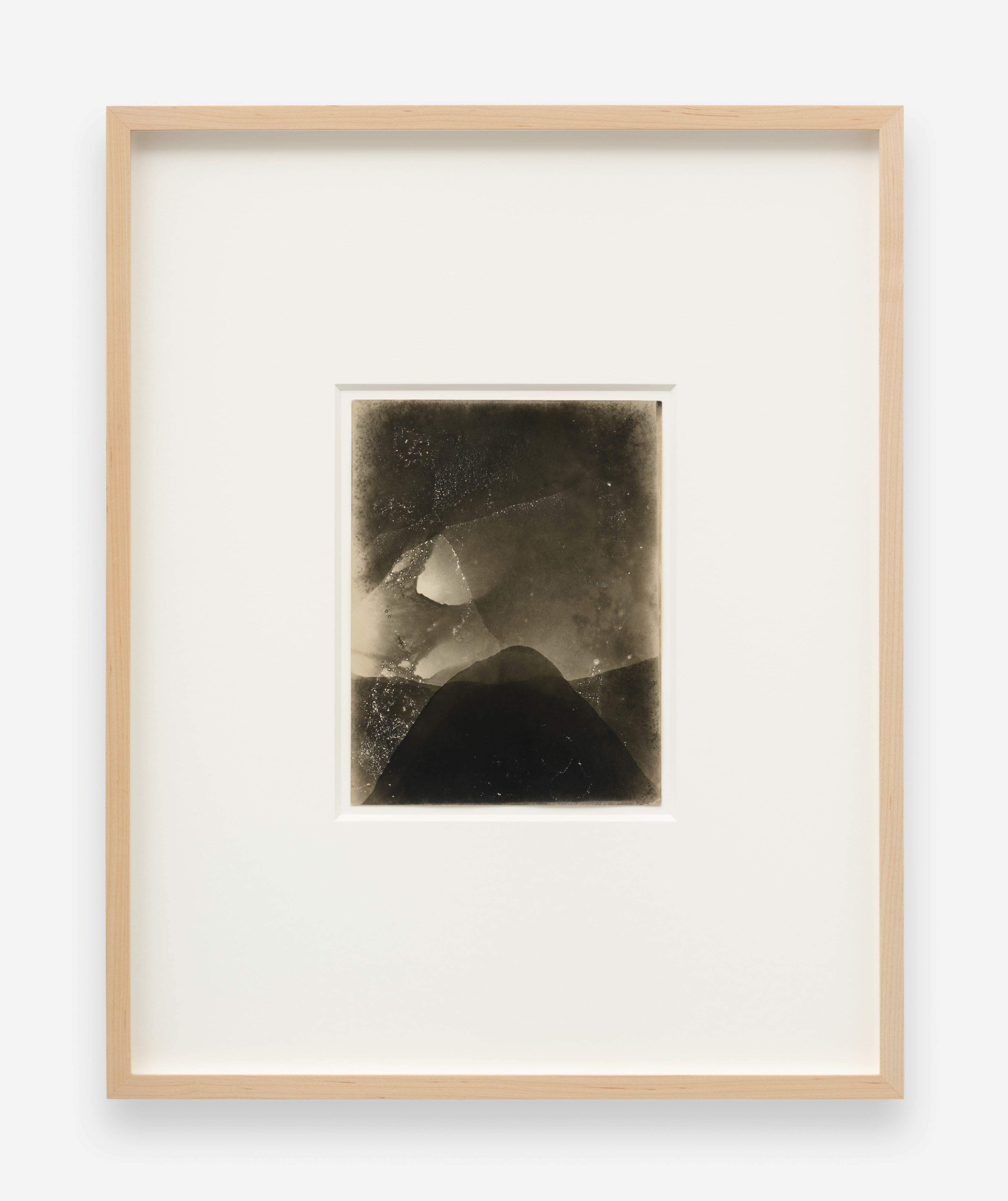 Untitled (Iris #3)