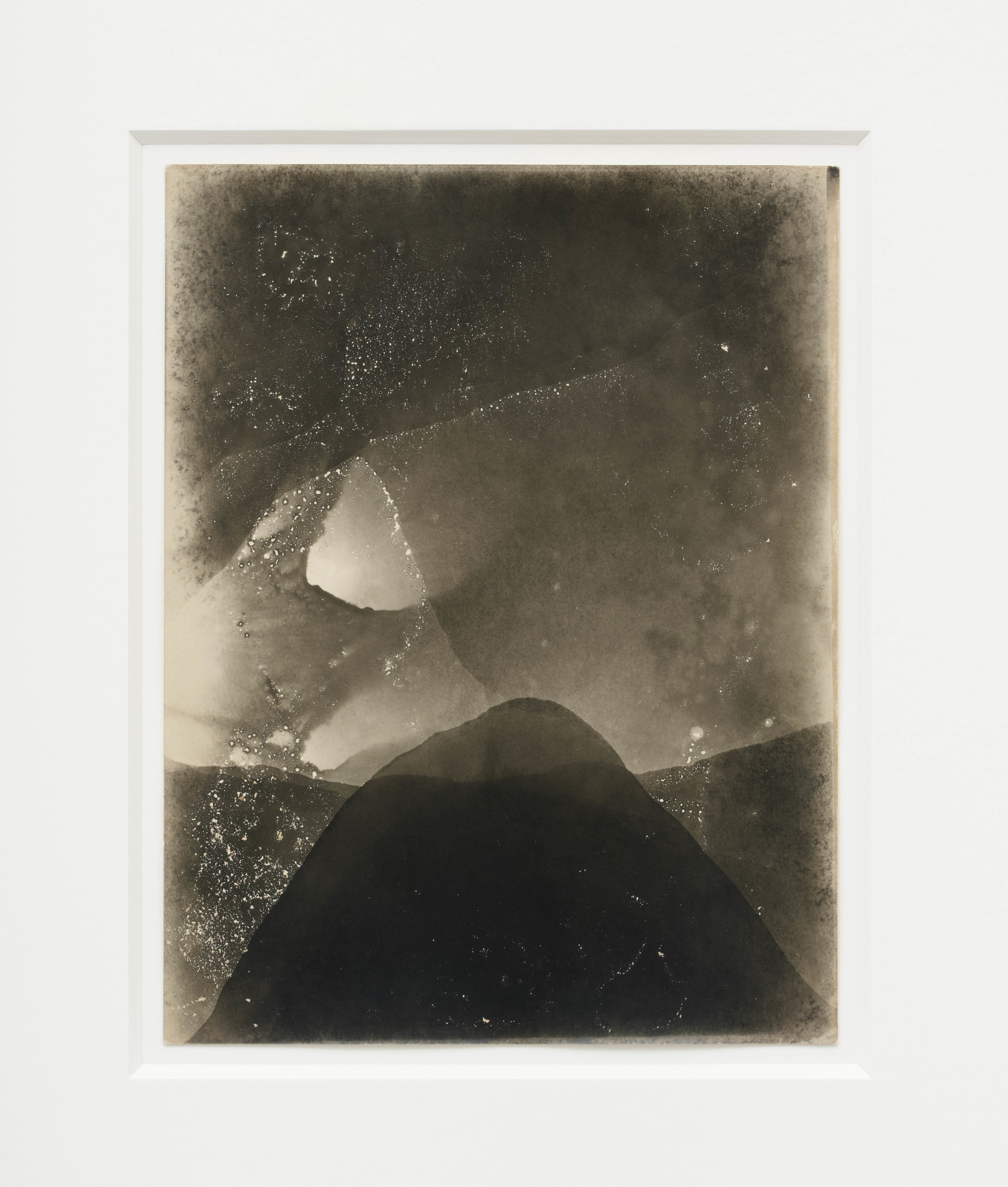Untitled (Iris #3)