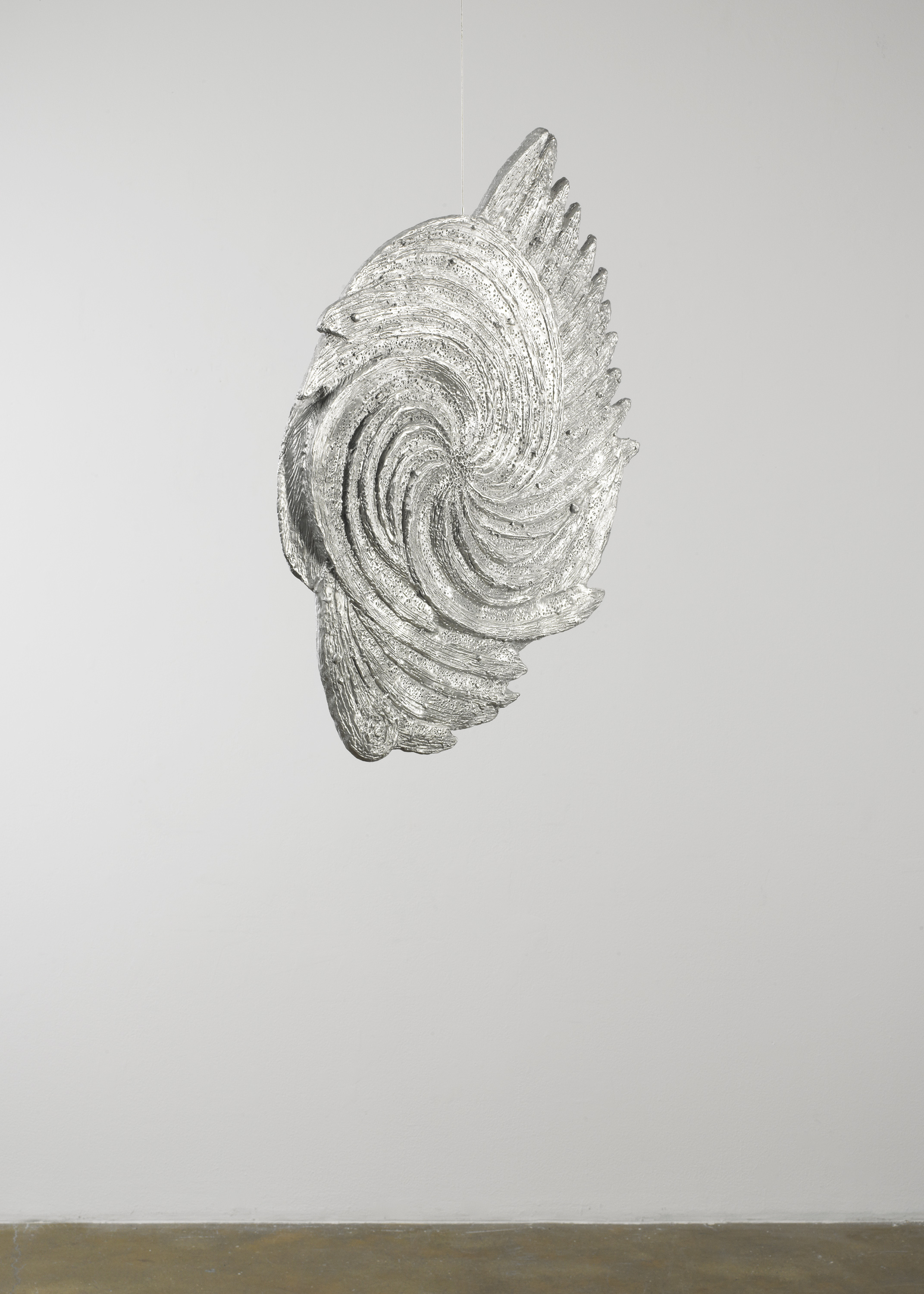 Spiral Nebula (Large)