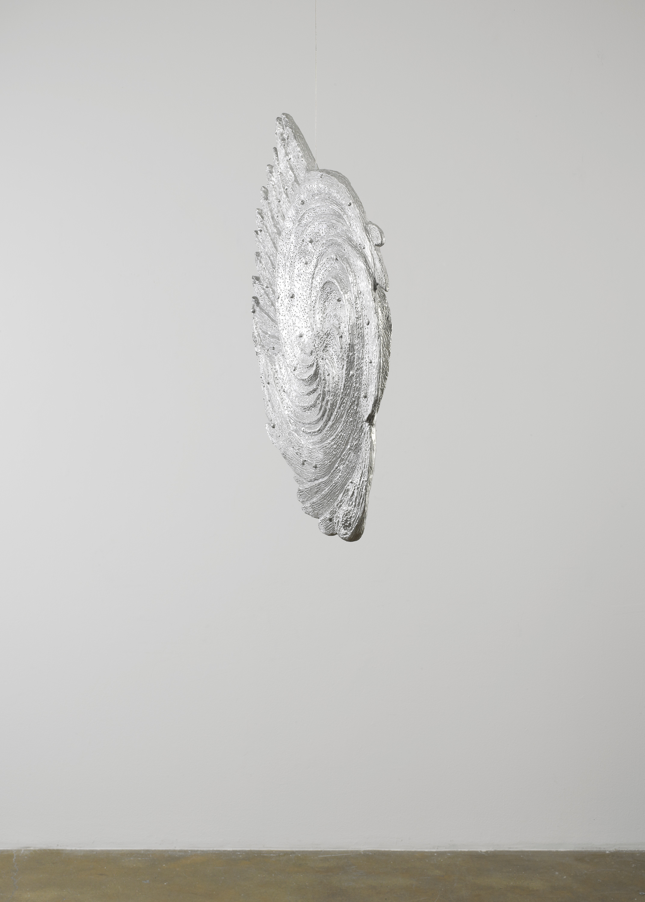 Spiral Nebula (Large)