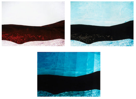 Untitled (0307) [Studies 1–3]