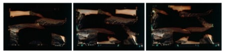 Untitled (CO-16161616161616-1) [Studies #4 #9 #15]