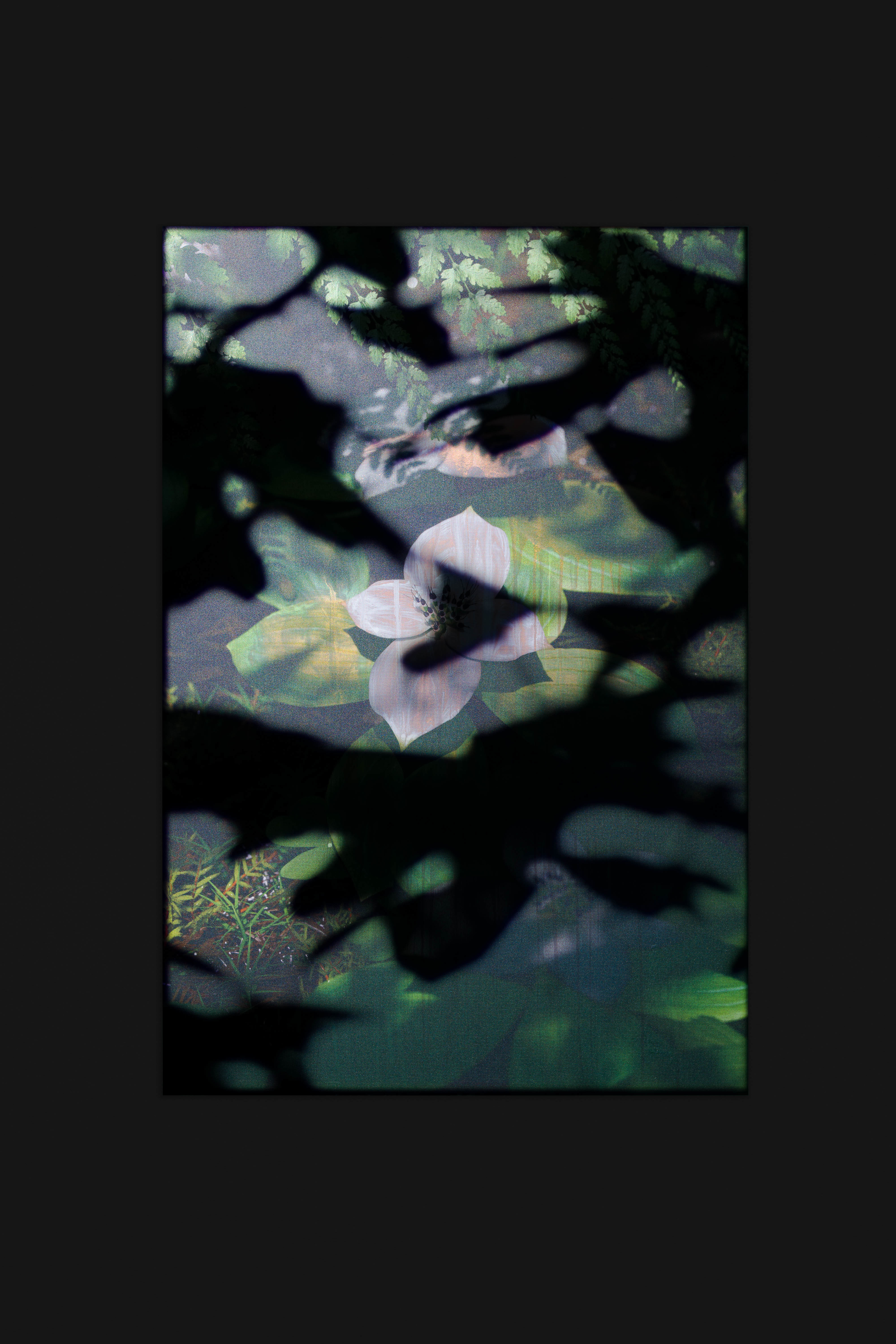 Untitled (natural origin, 3)