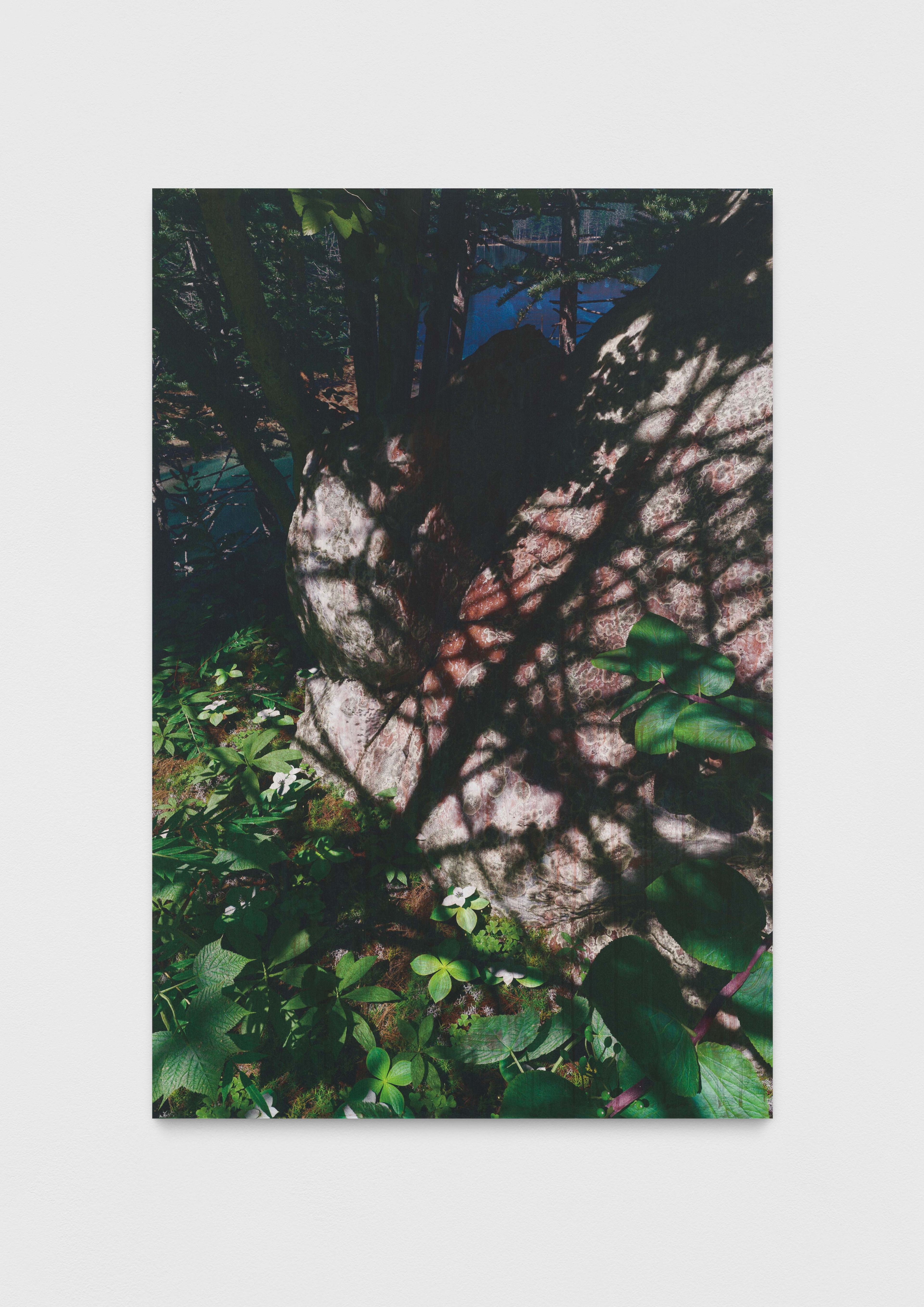 Untitled (natural origin, 4)