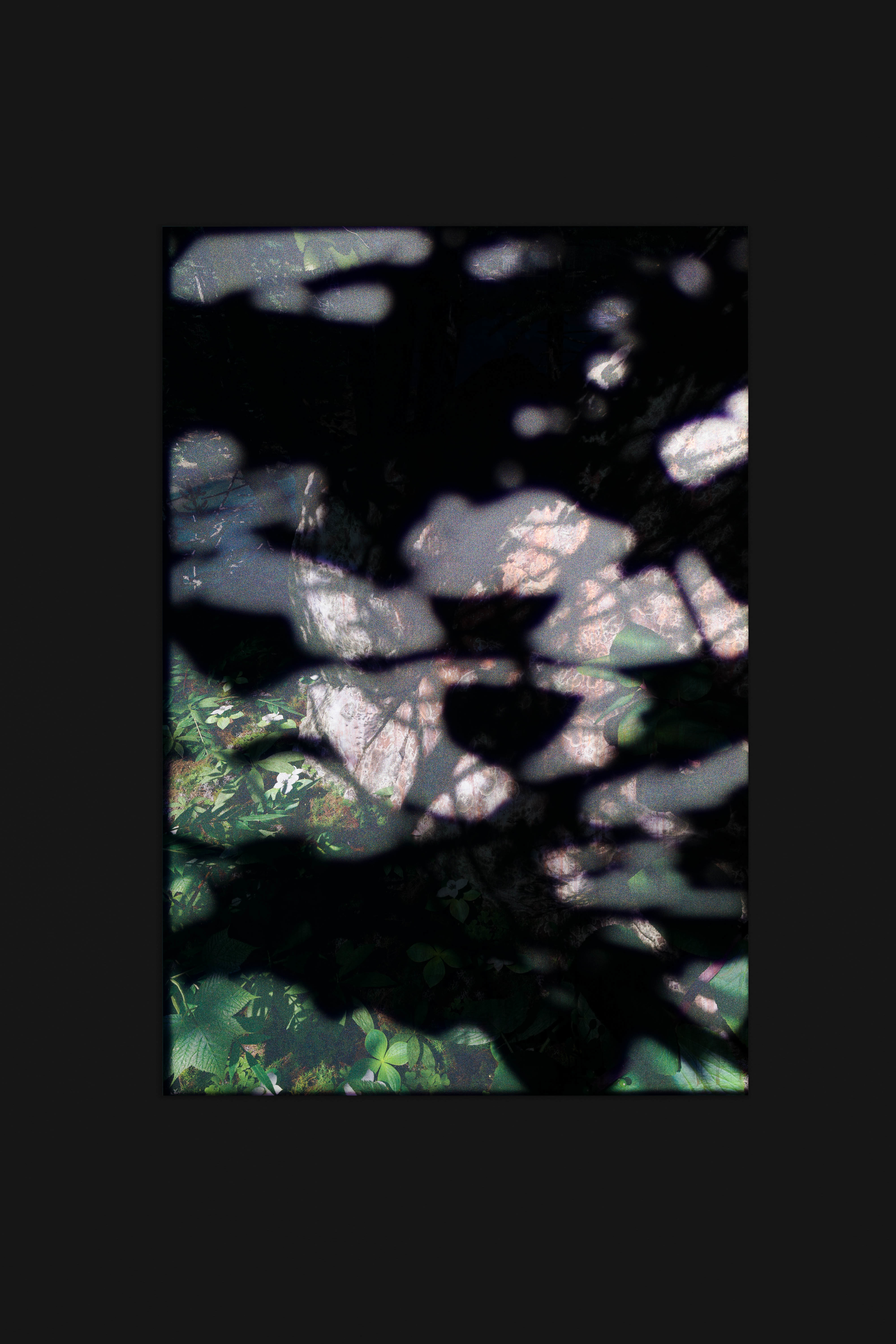Untitled (natural origin, 4)
