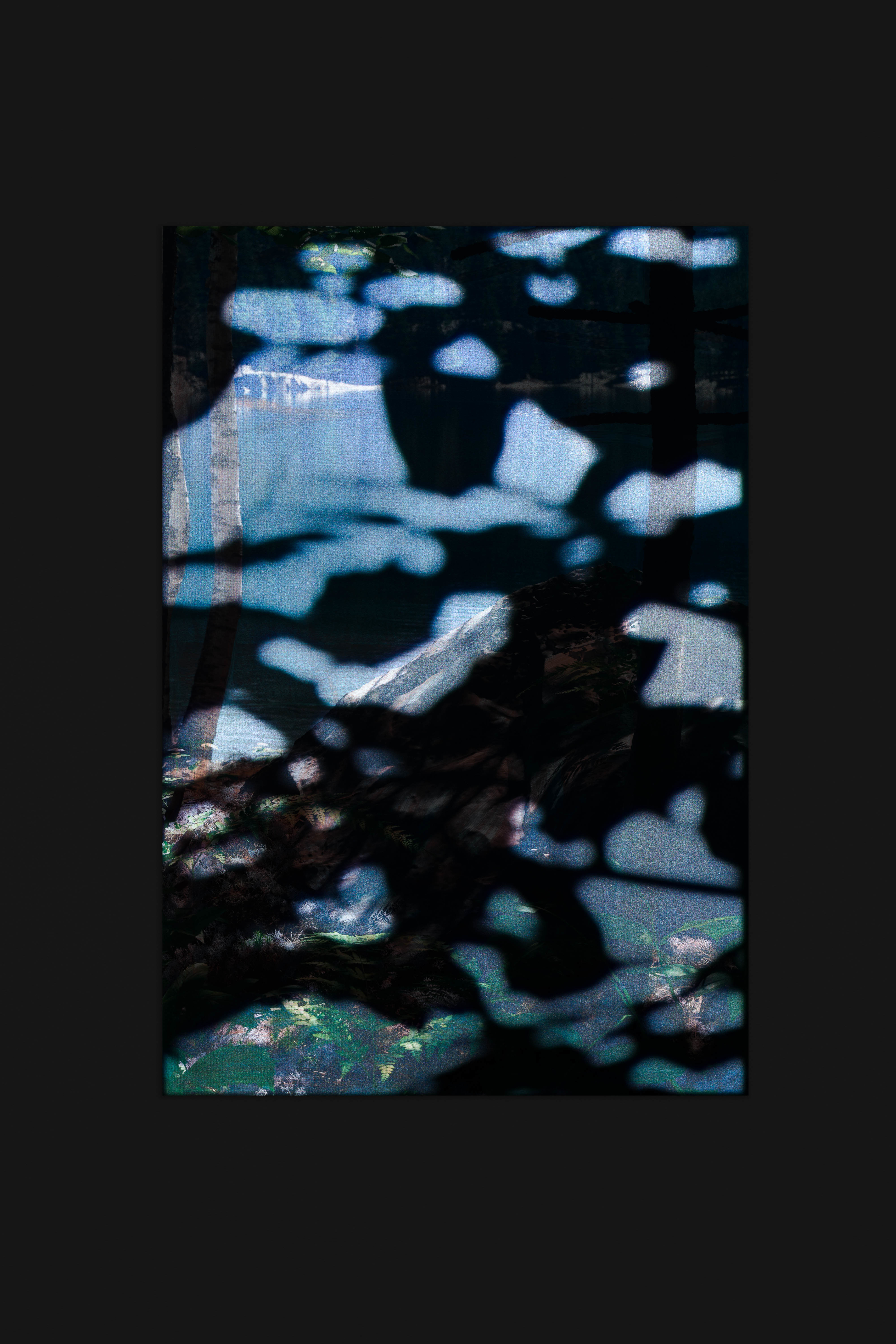 Untitled (natural origin, 6)