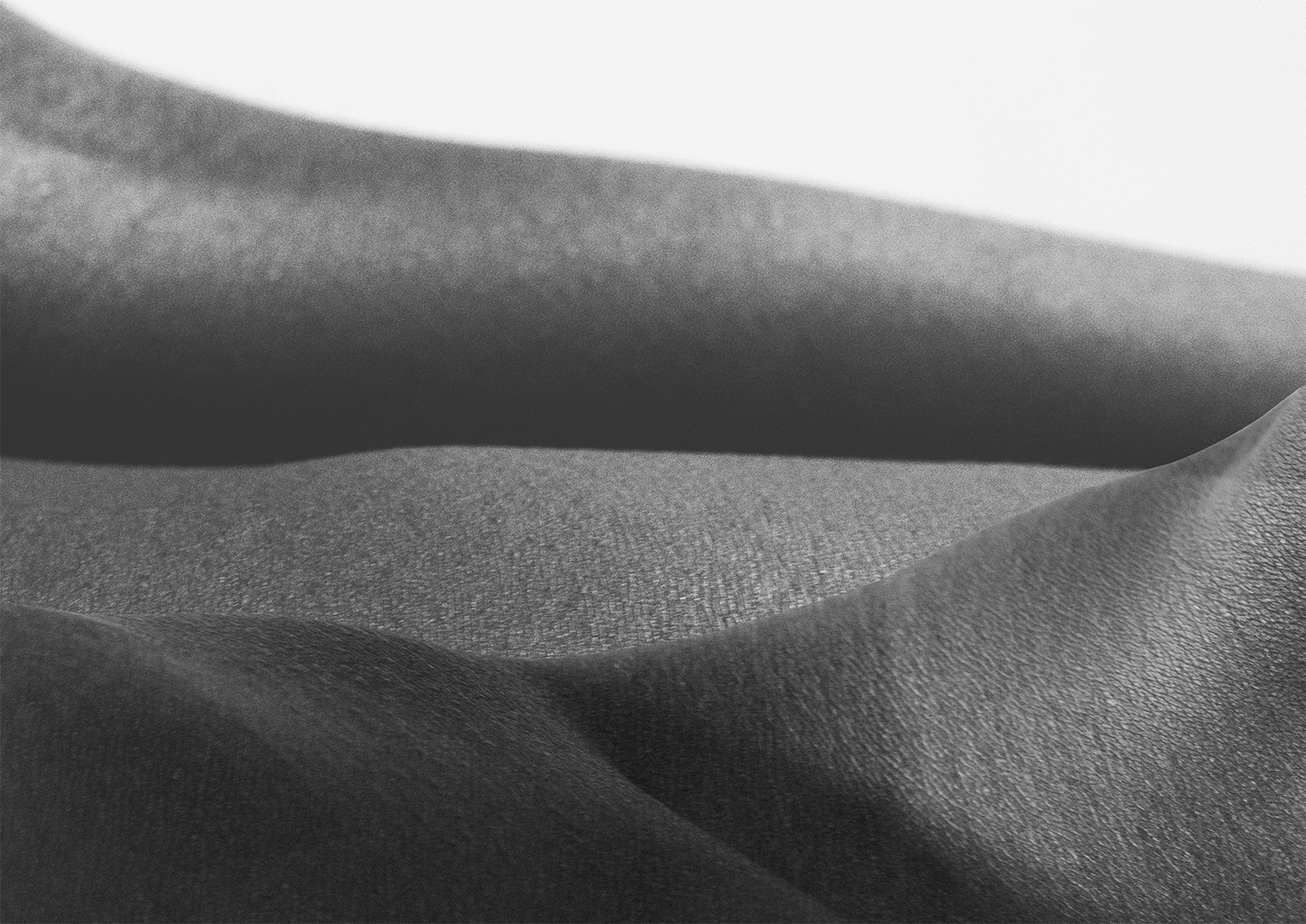 Nature III