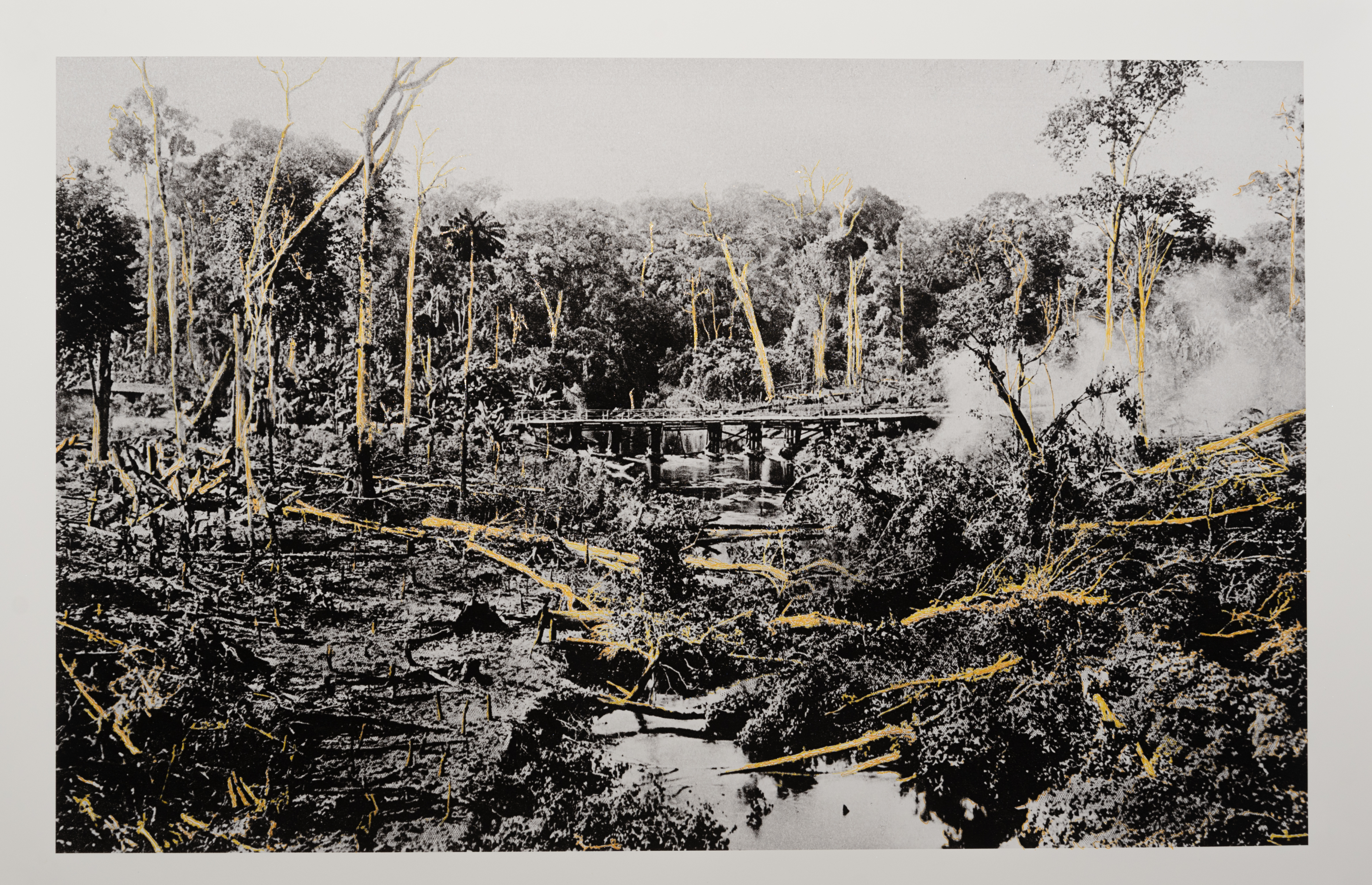 In the Heart of Darkness