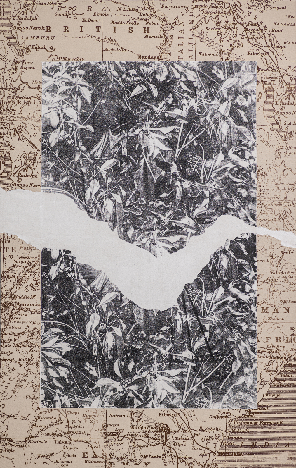 Place, Belonging II