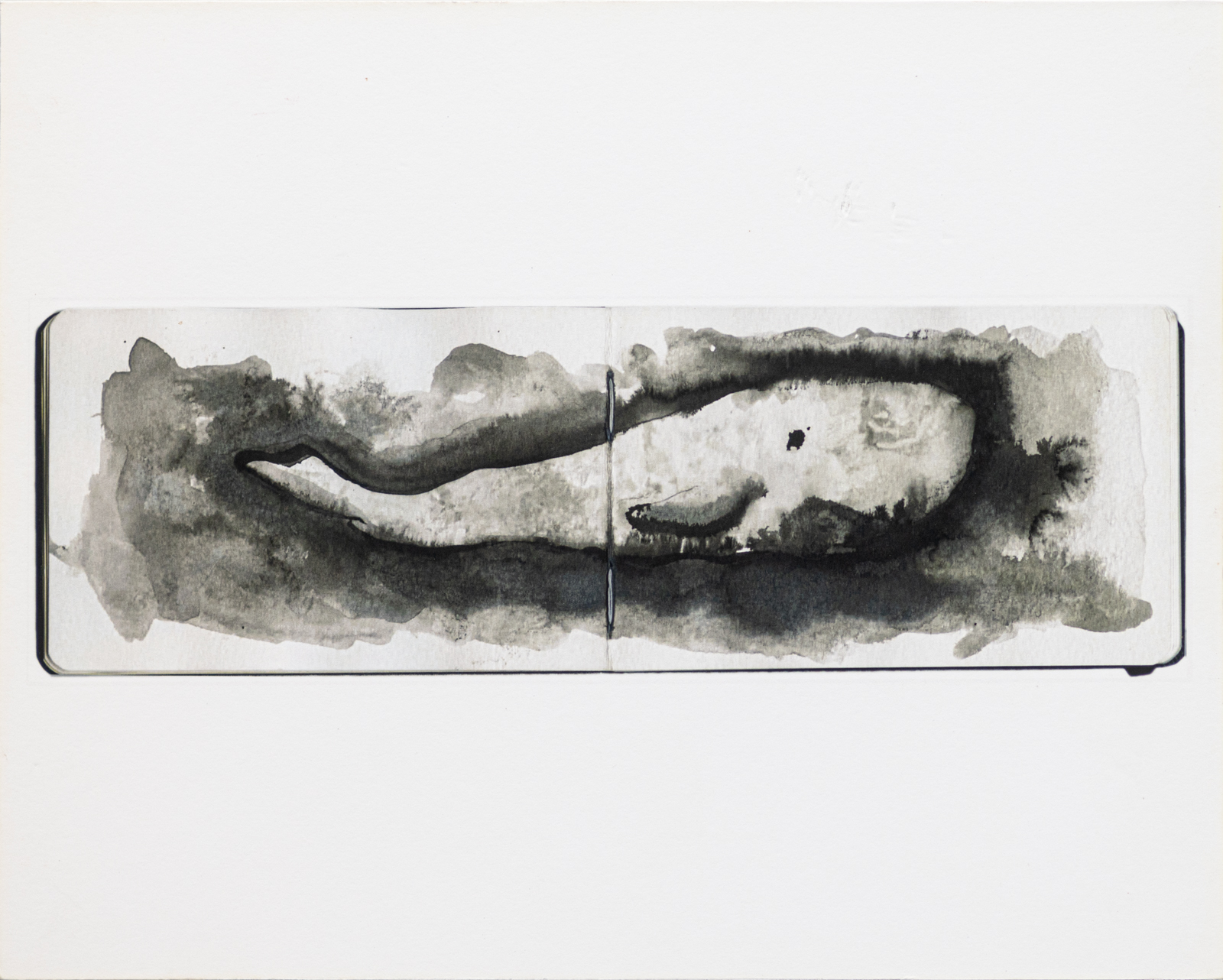La Baleine Nuage #1