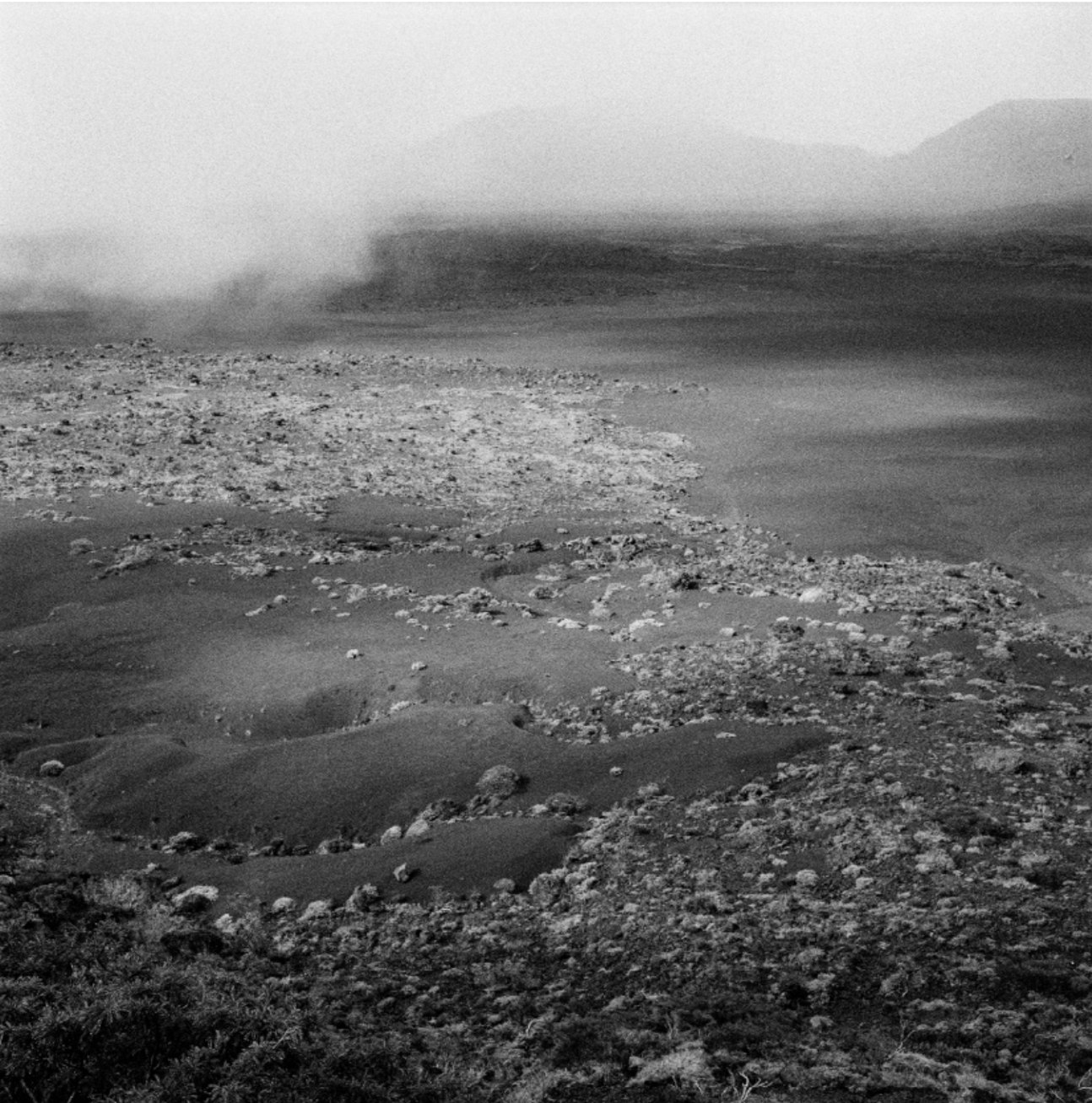 La colonie, île de la réunion