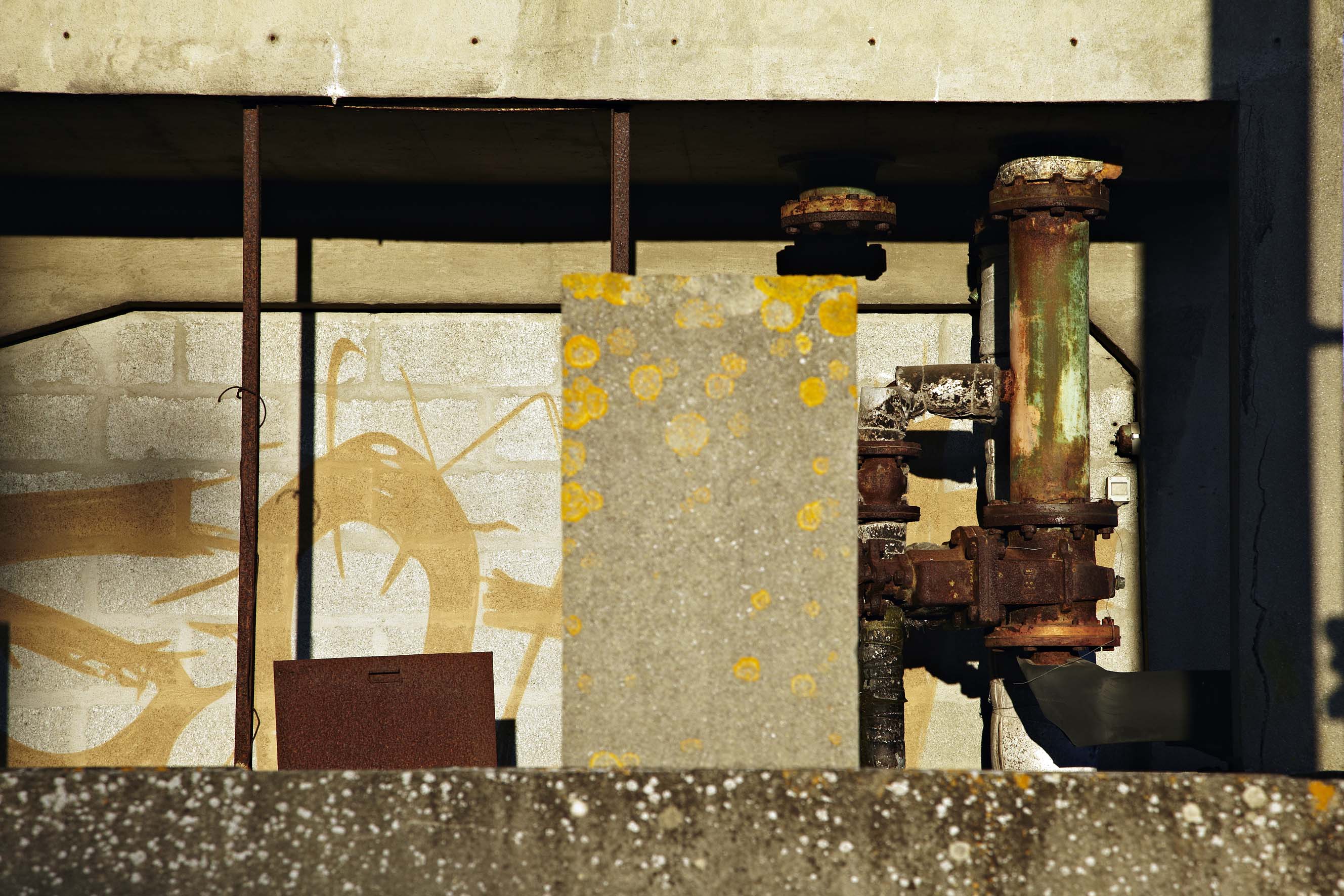 Poyaud #18, Tracks series, Surgères
