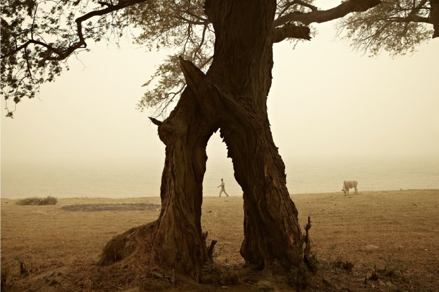 Balazan, Ségou, Mali