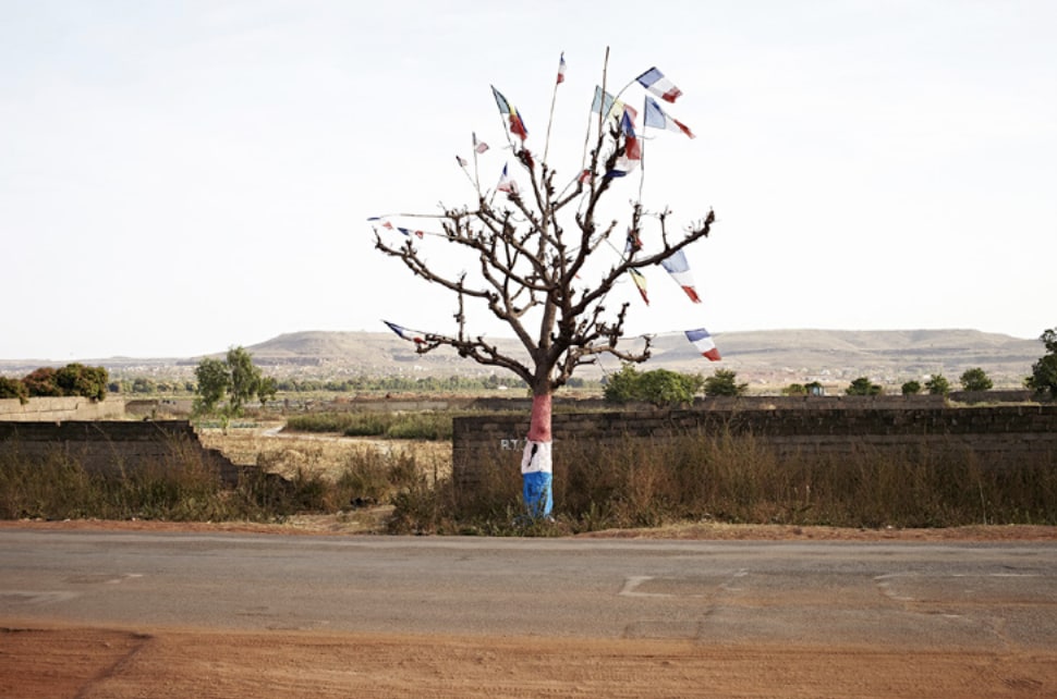L’arbre du sauveur, Bamako