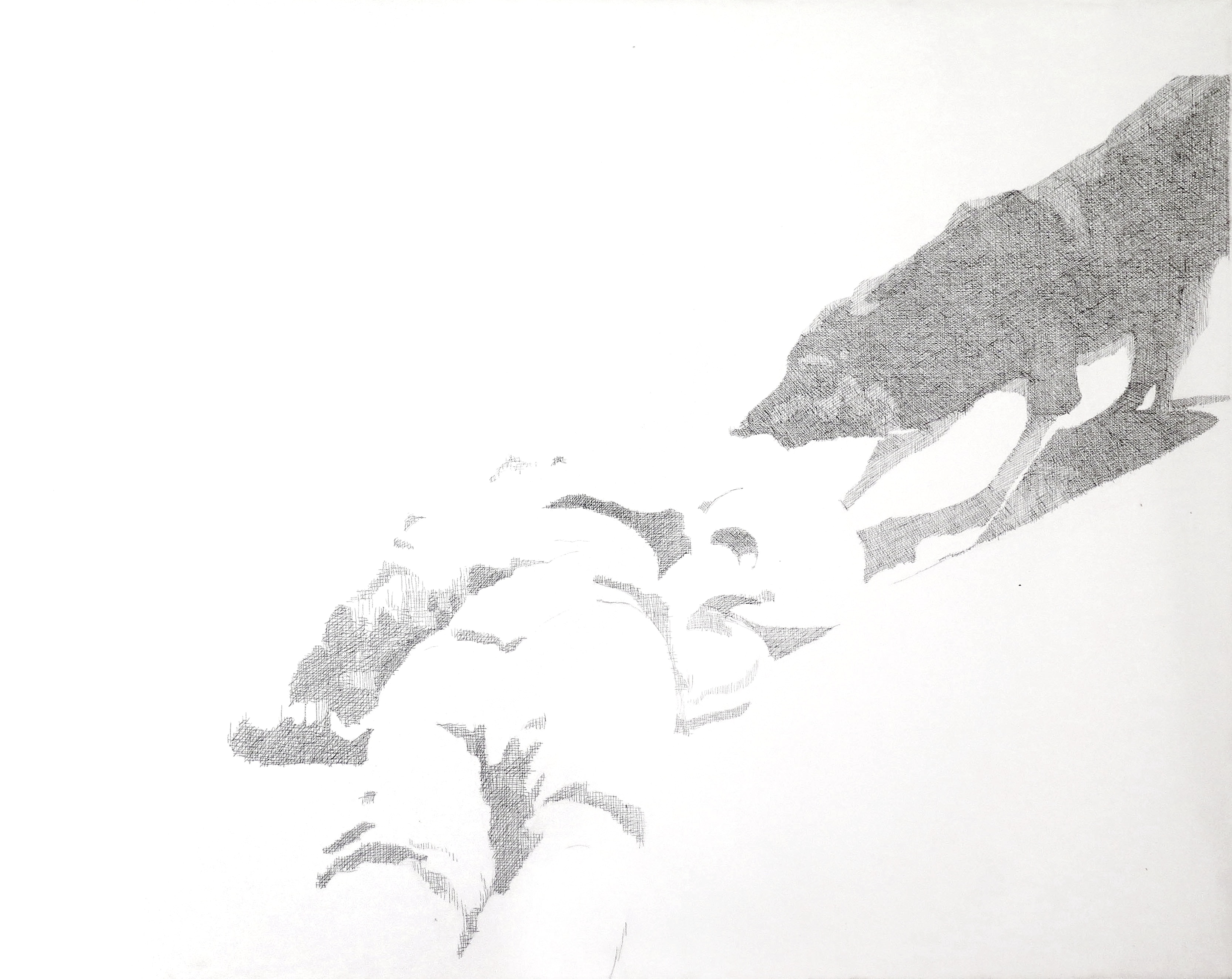 Untitled #3, série Algérie Année 0